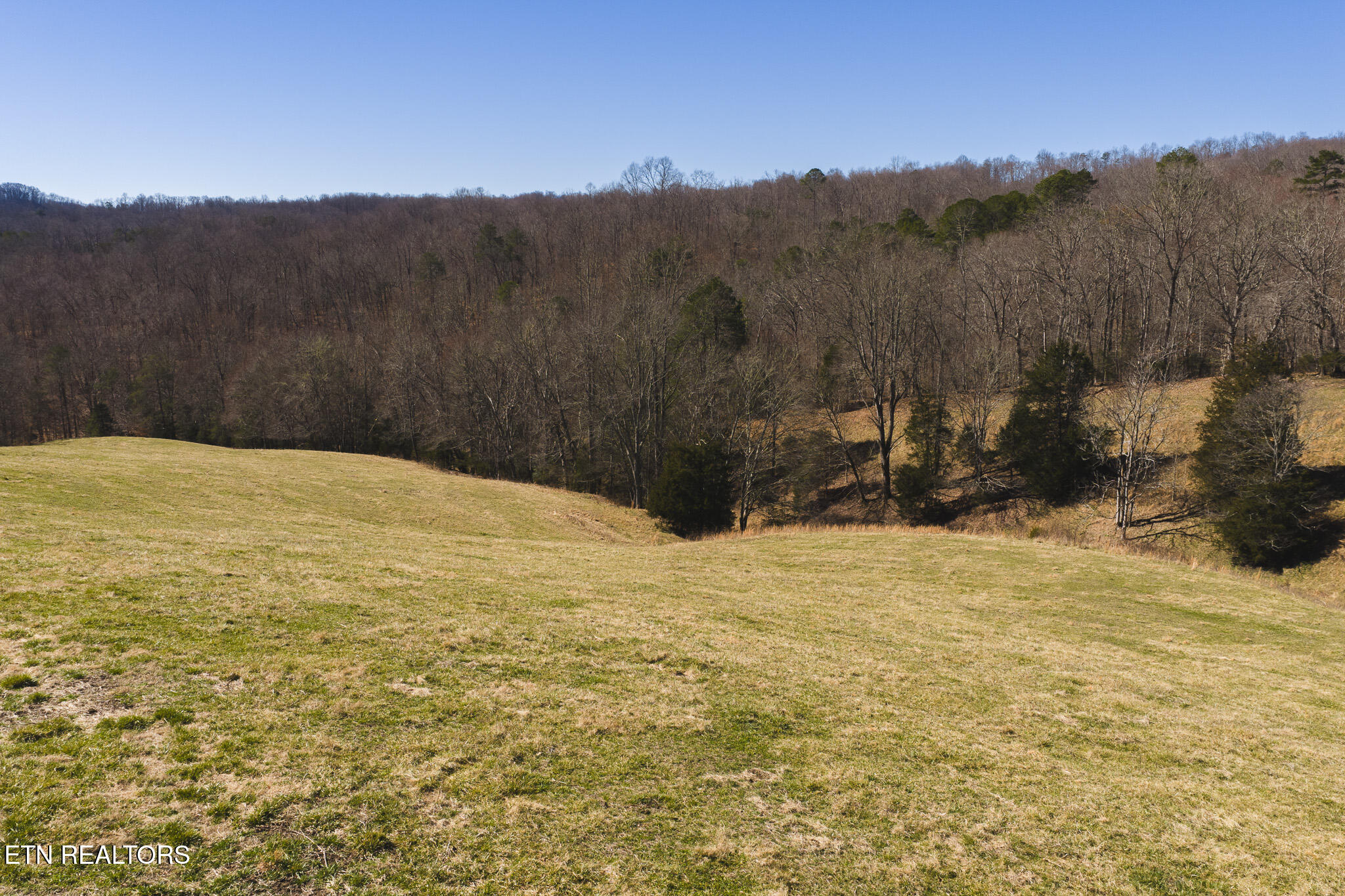 100 Acres Sutton Hollow Road Sneedville TN 37869