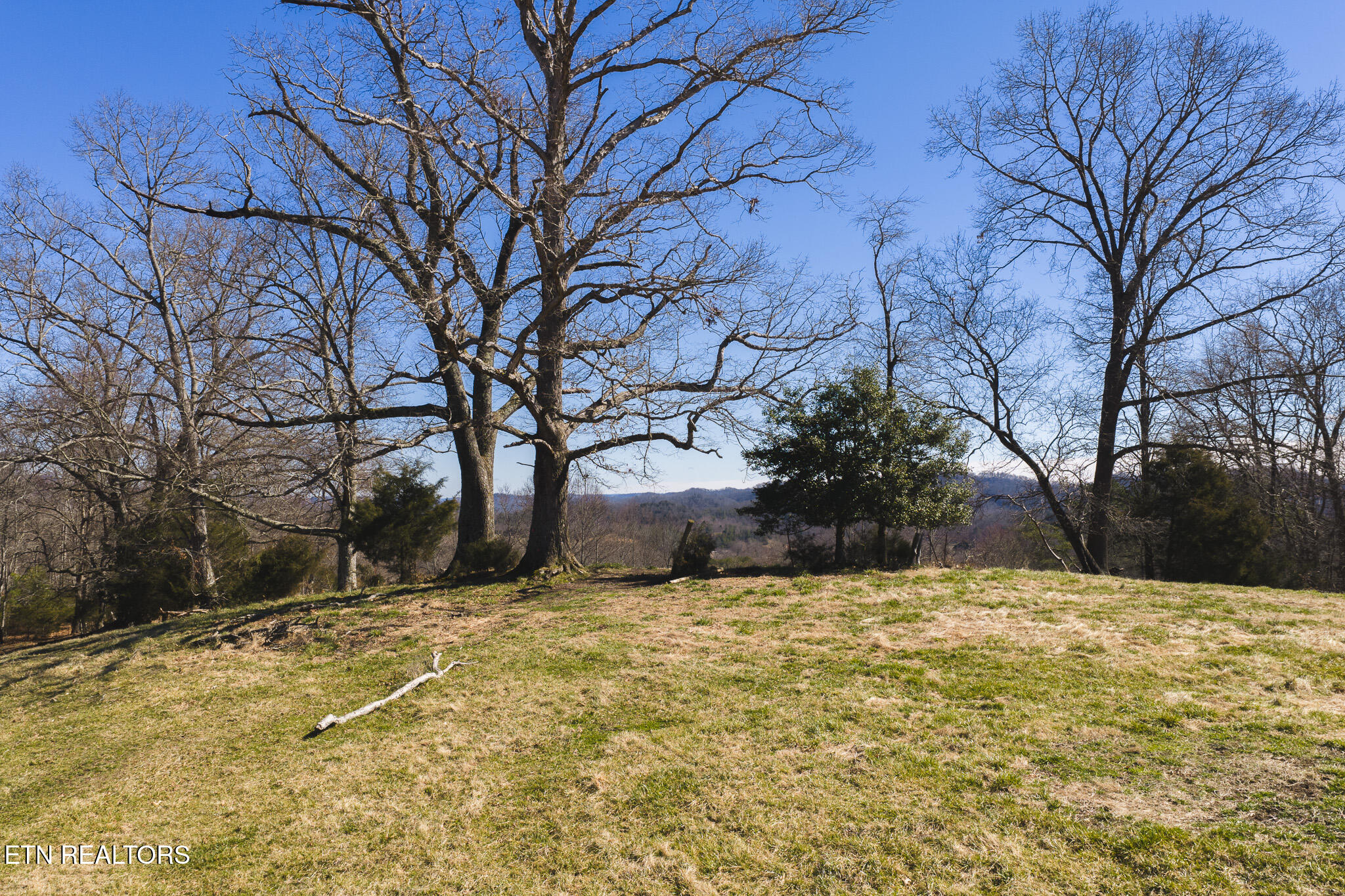 100 Acres Sutton Hollow Road Sneedville TN 37869