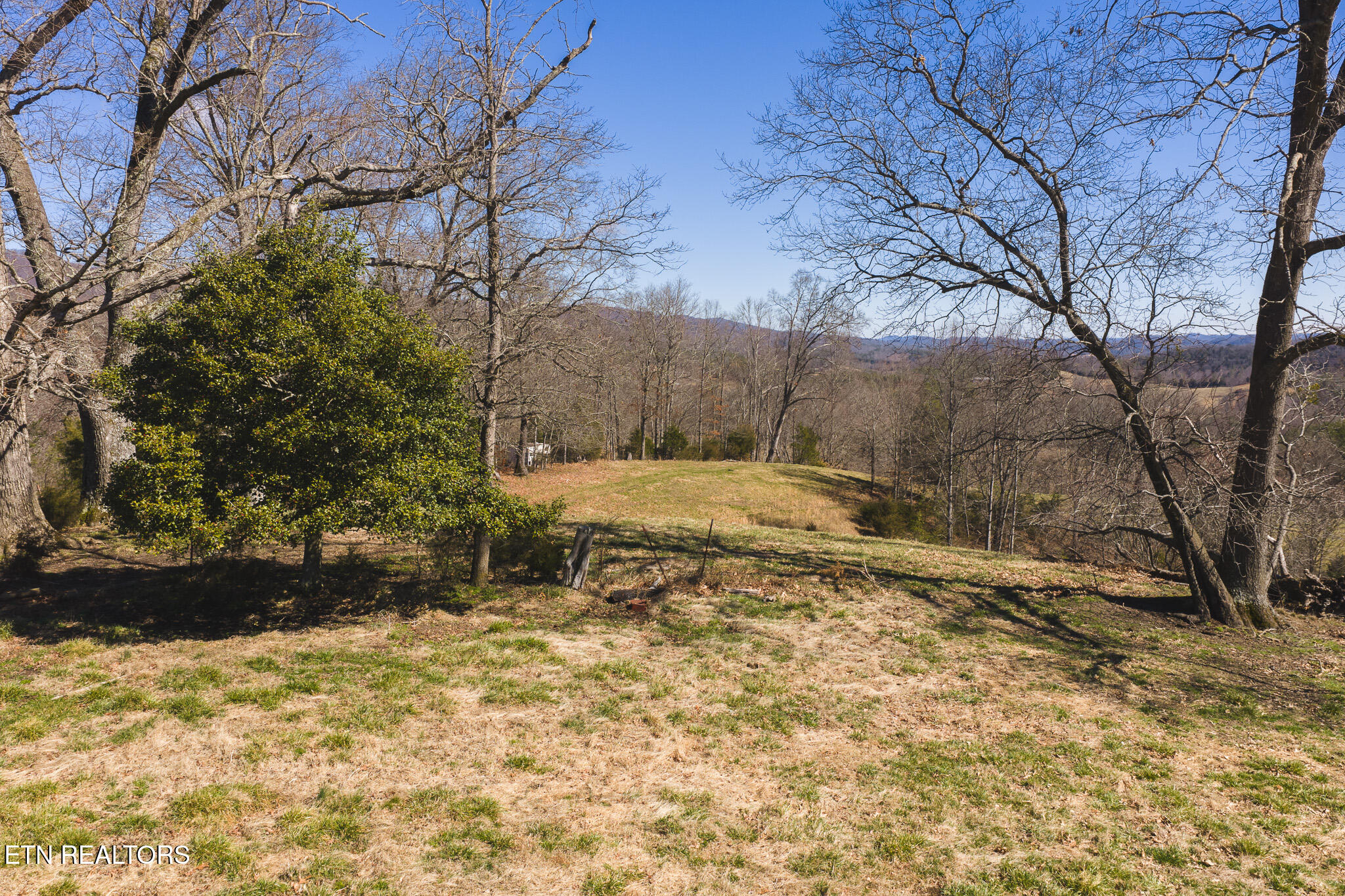 100 Acres Sutton Hollow Road Sneedville TN 37869