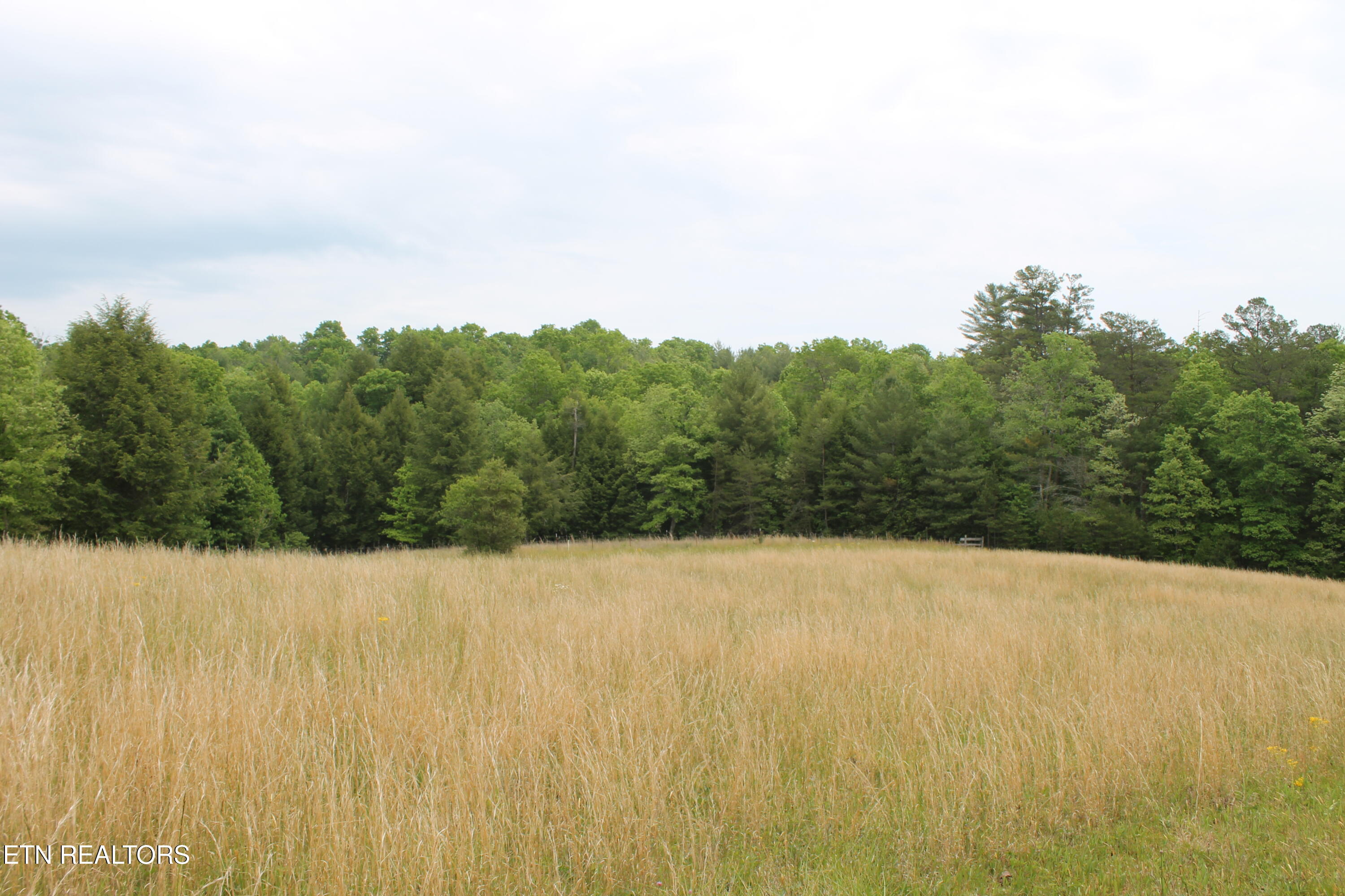 232 Wright Cemetery Road Allardt TN 38504