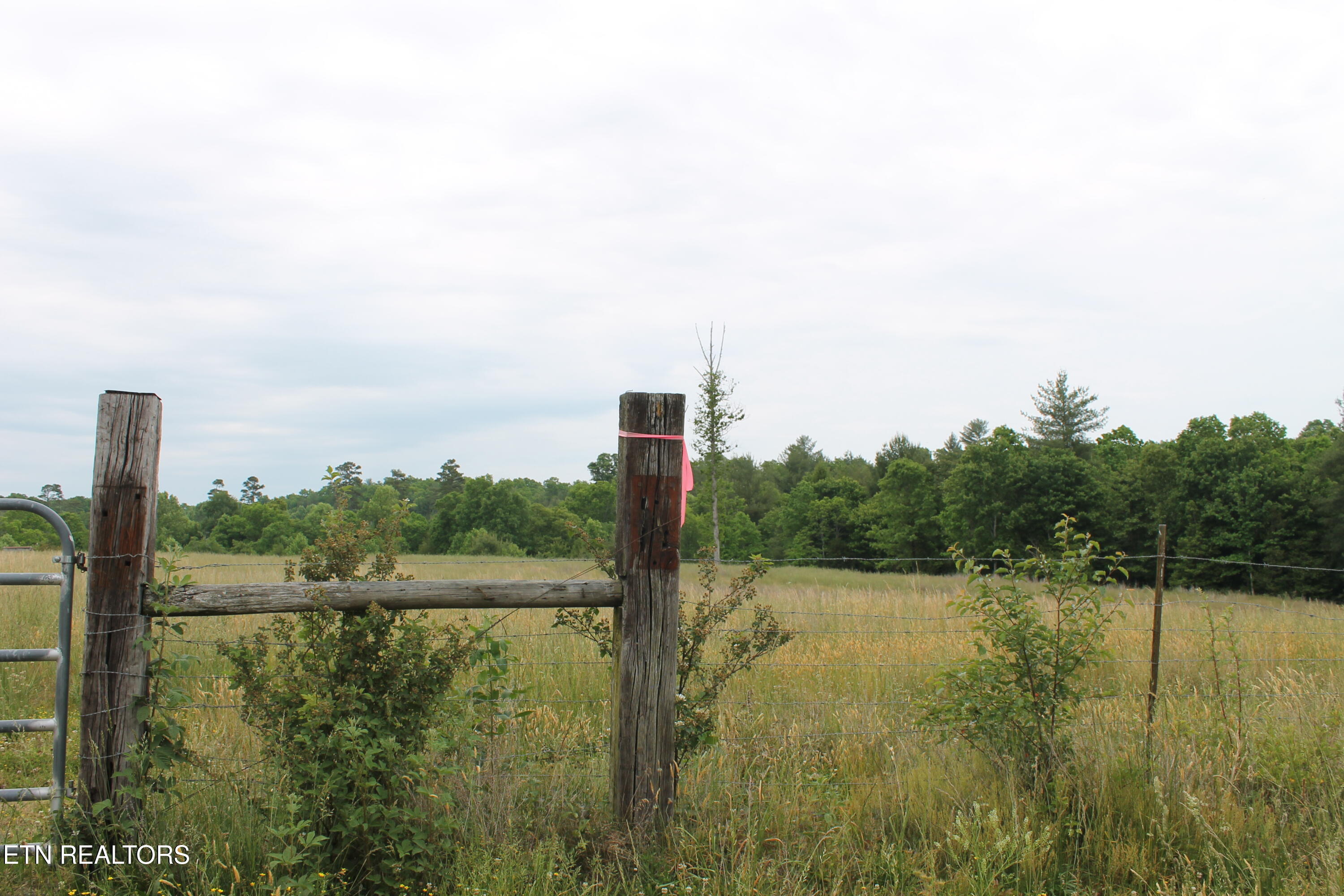 232 Wright Cemetery Road Allardt TN 38504