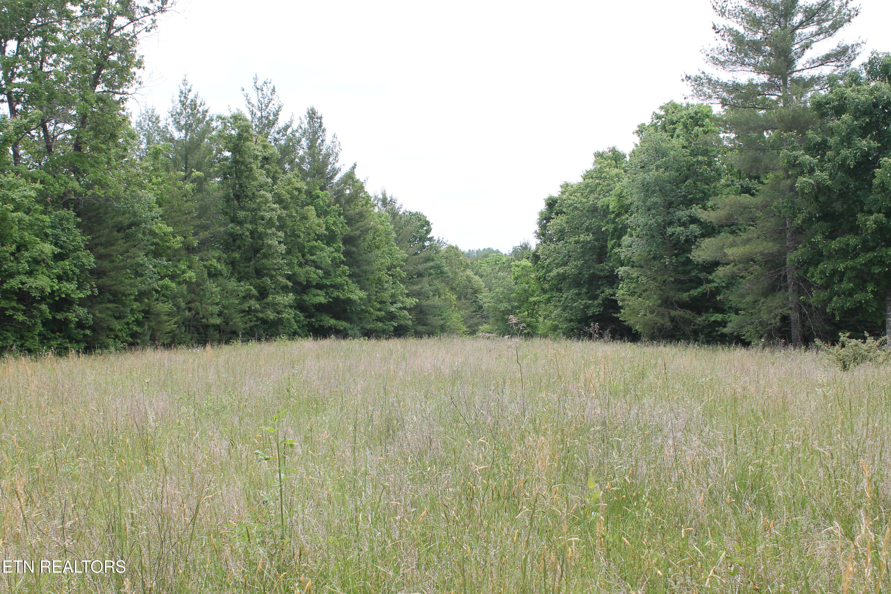 232 Wright Cemetery Road Allardt TN 38504