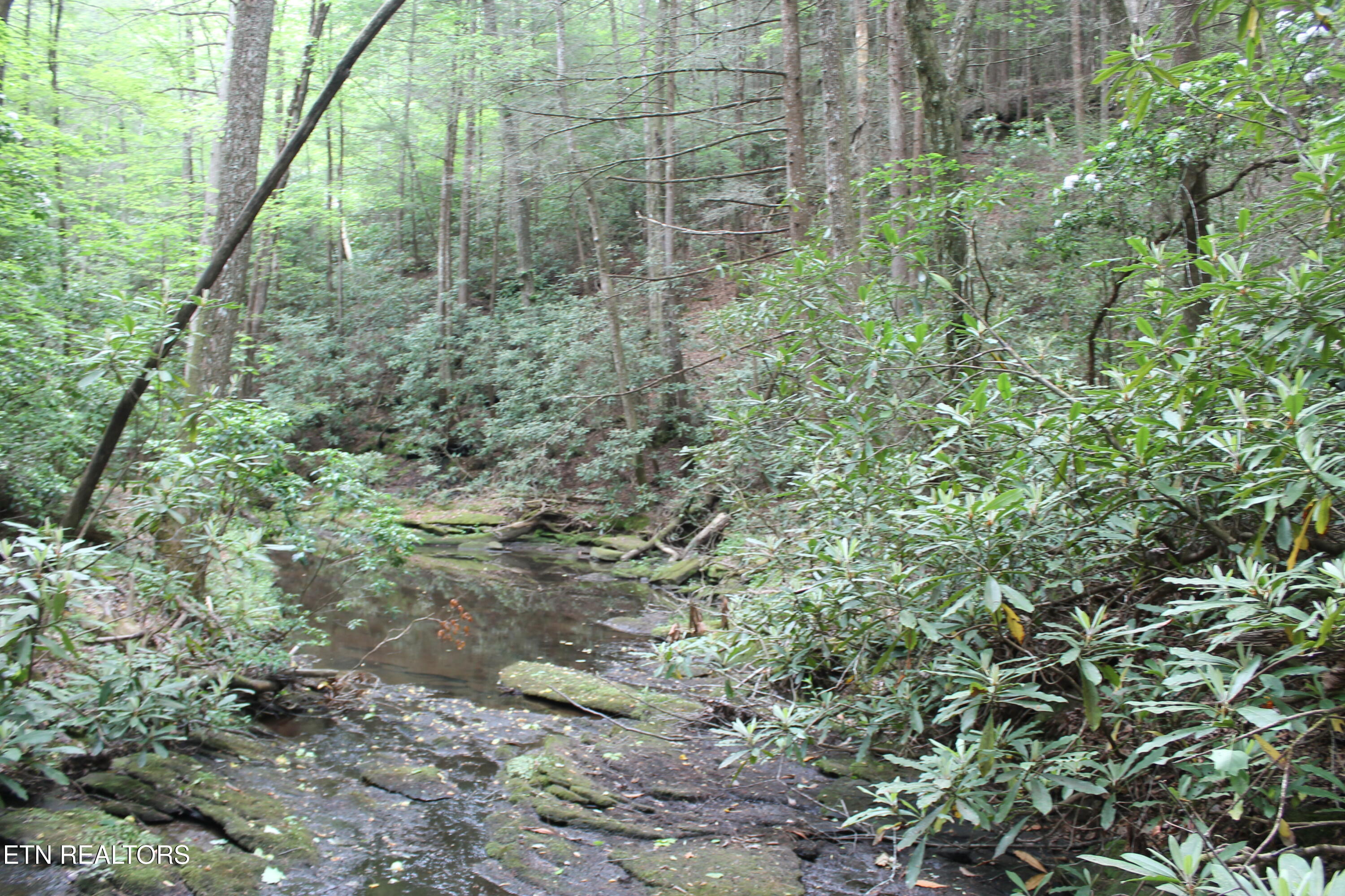 232 Wright Cemetery Road Allardt TN 38504