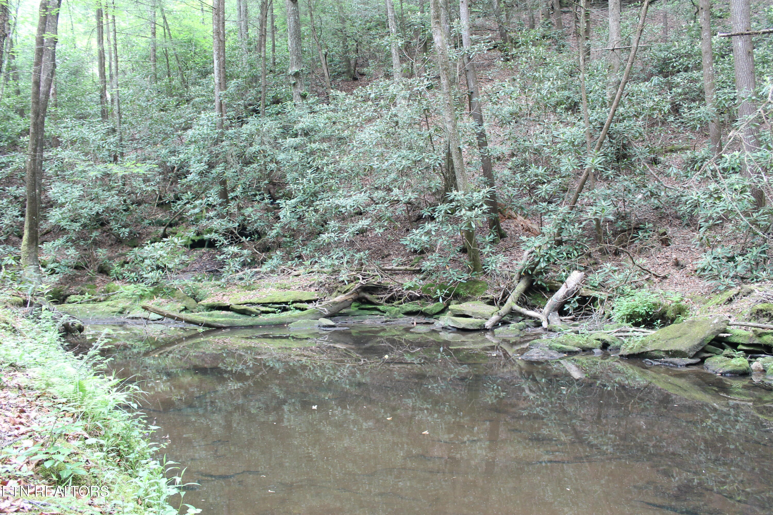 232 Wright Cemetery Road Allardt TN 38504