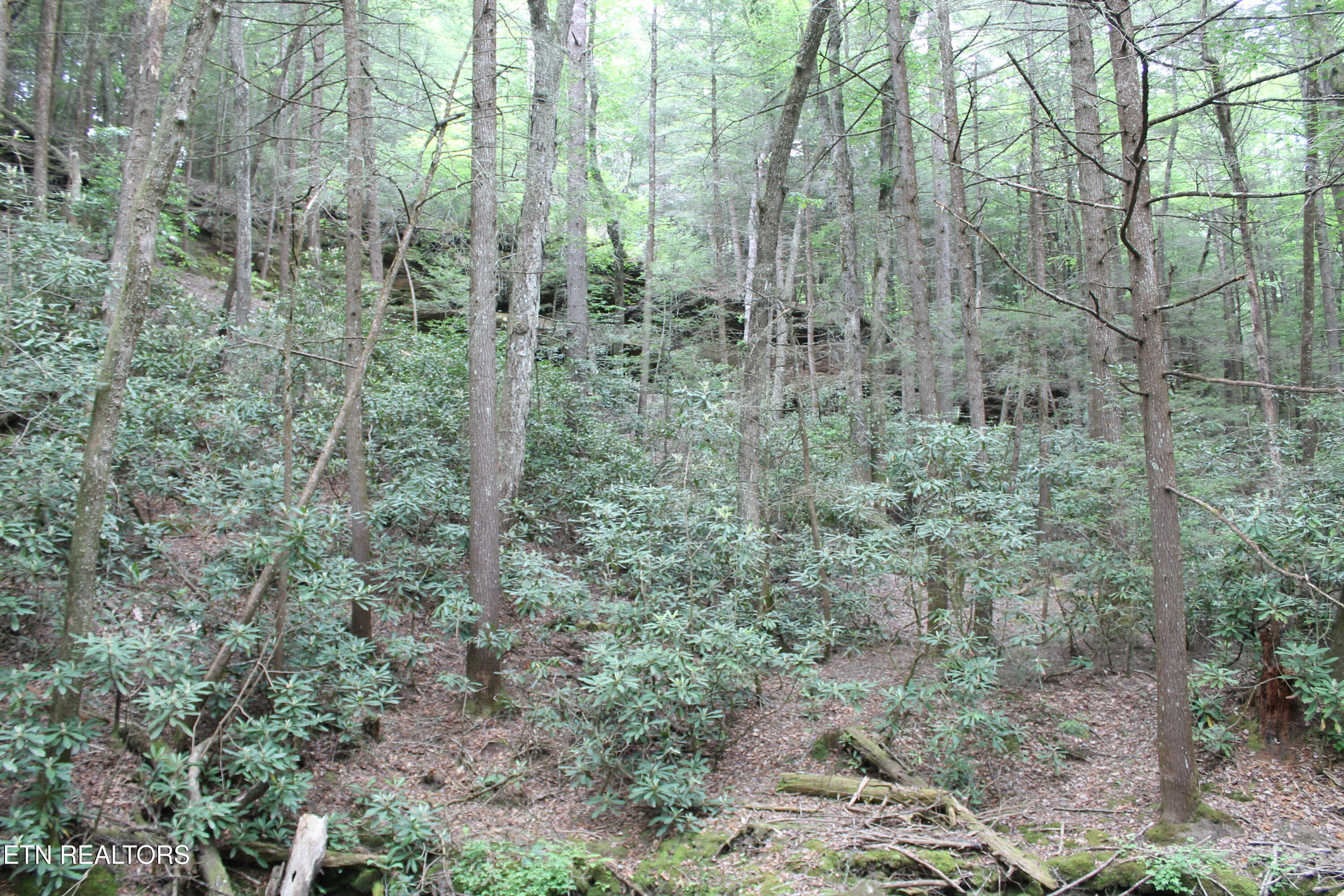 232 Wright Cemetery Road Allardt TN 38504