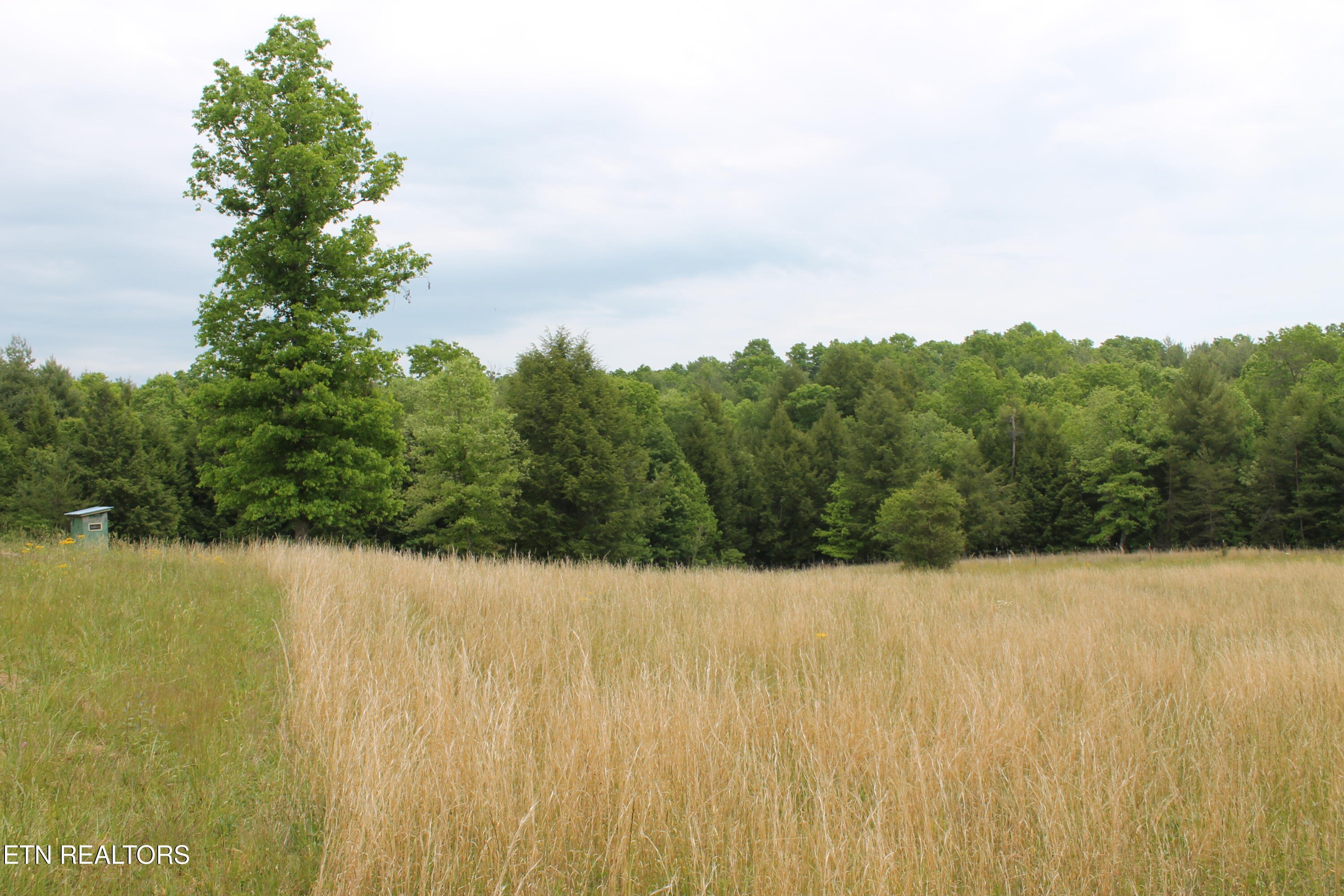 232 Wright Cemetery Road Allardt TN 38504