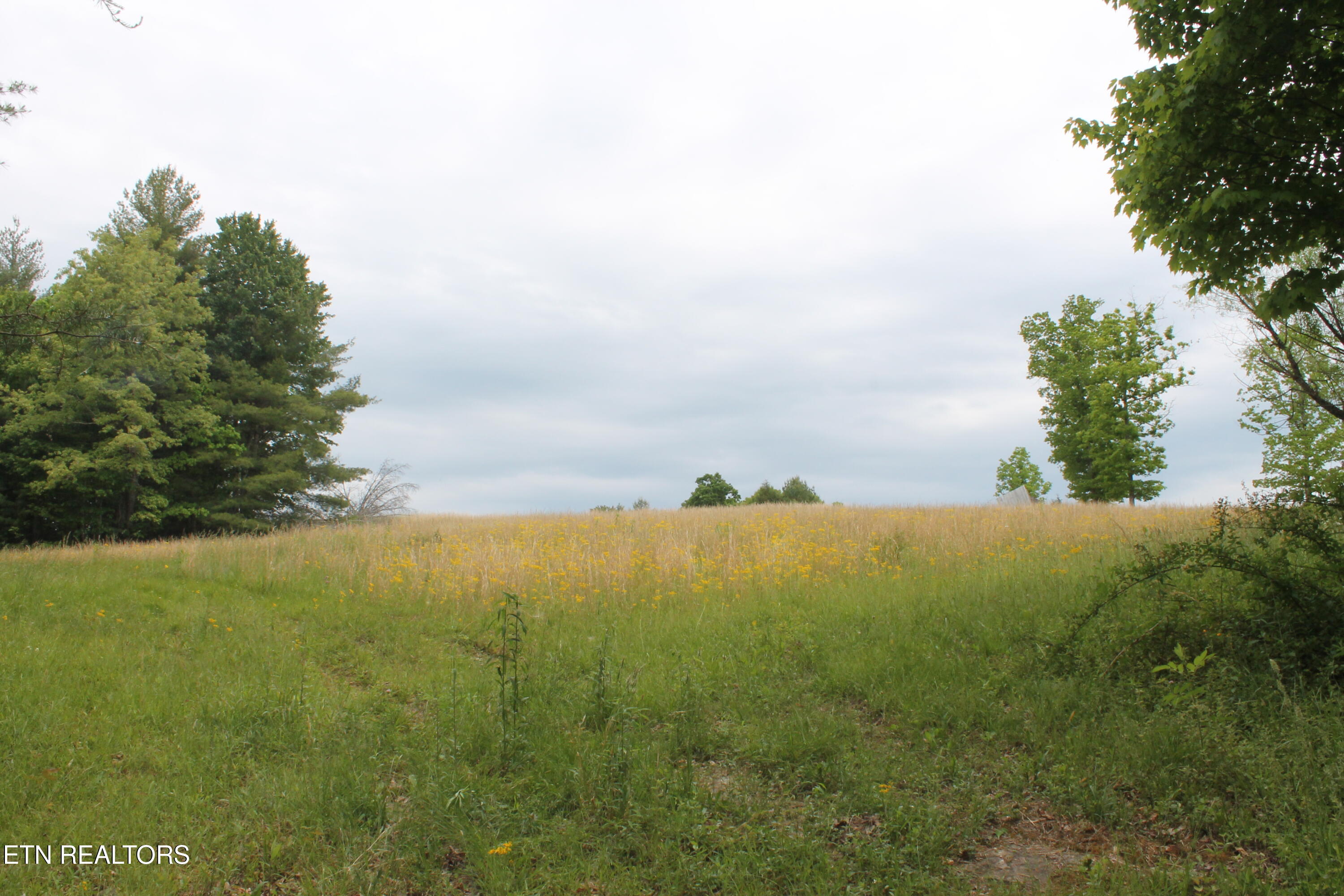 232 Wright Cemetery Road Allardt TN 38504