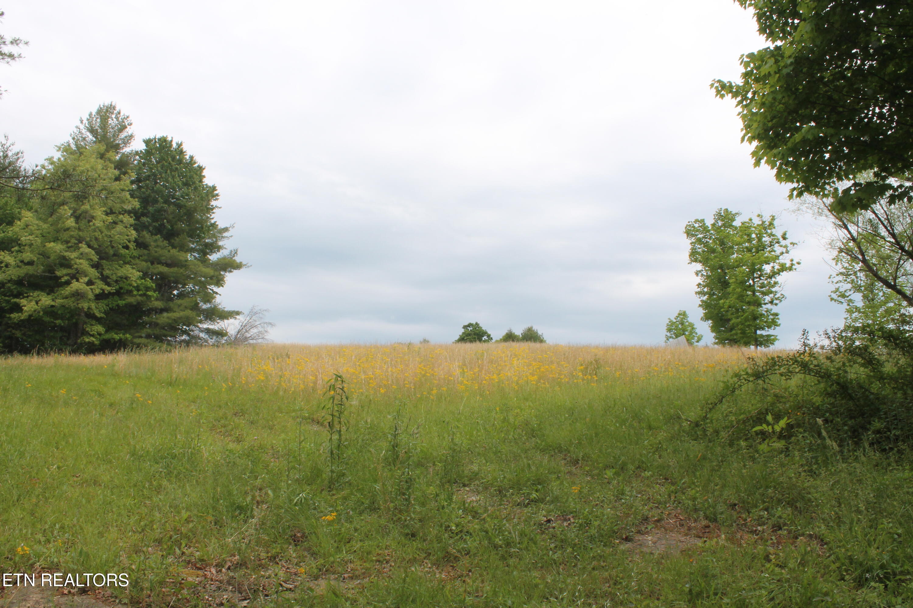 232 Wright Cemetery Road Allardt TN 38504