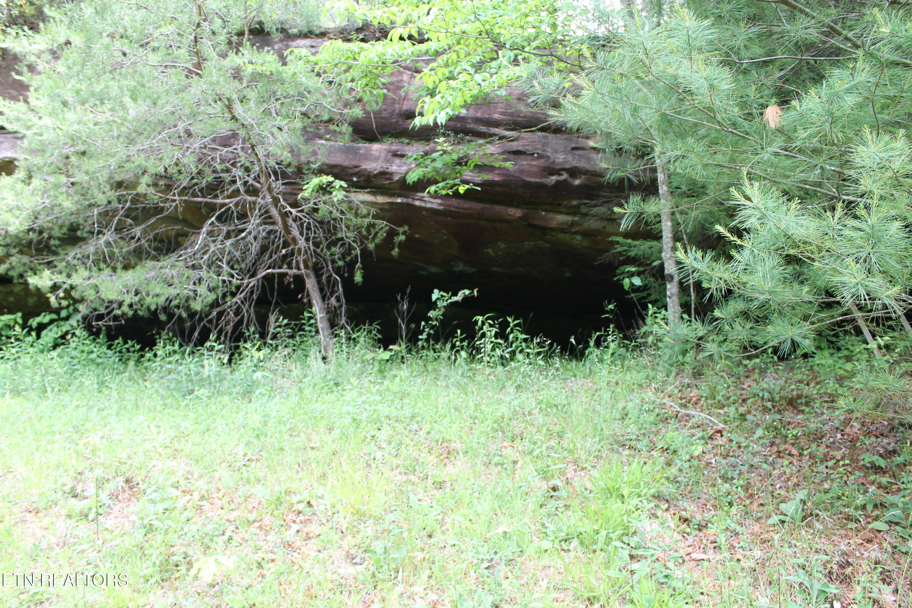 232 Wright Cemetery Road Allardt TN 38504