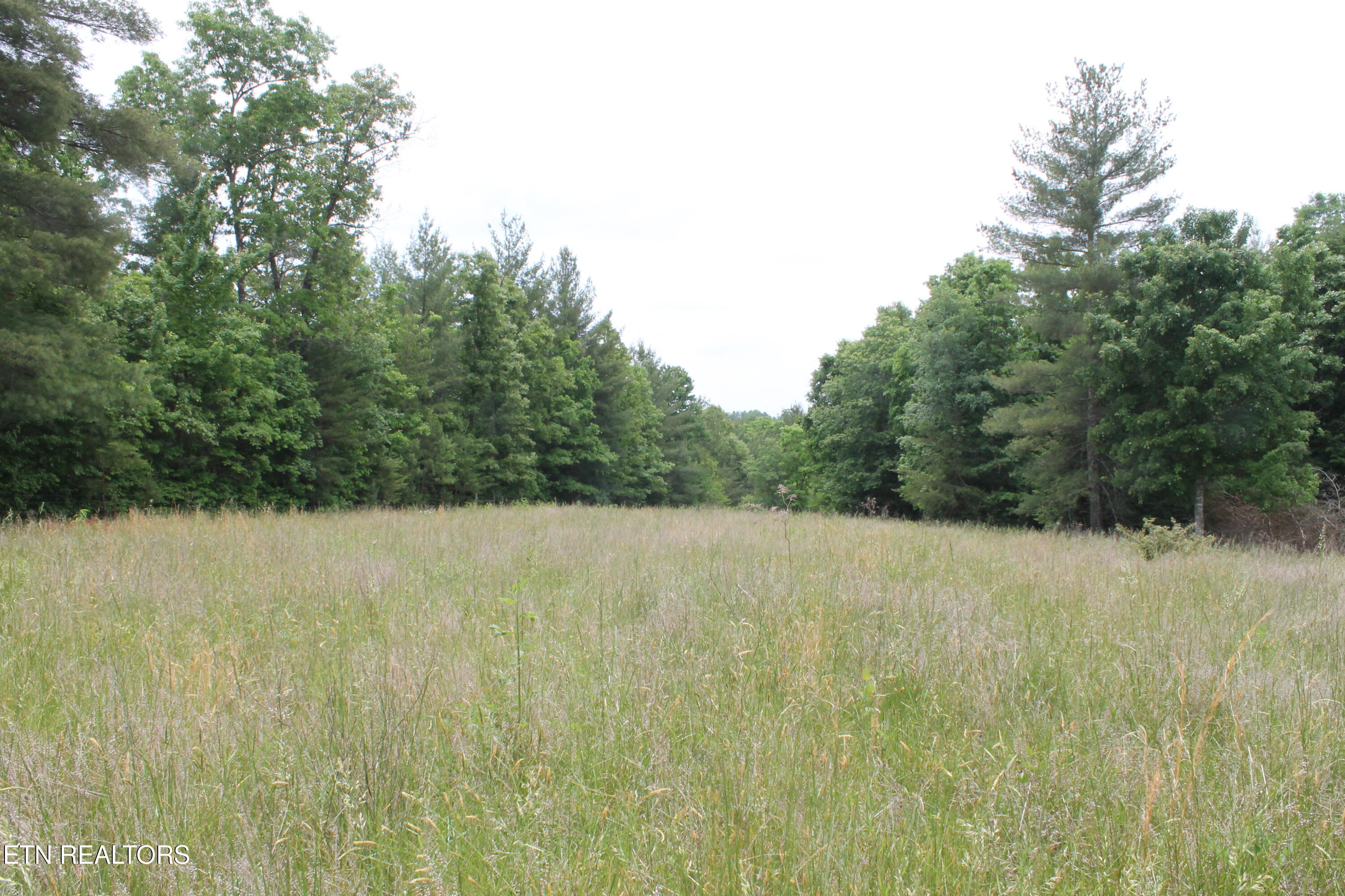 232 Wright Cemetery Road Allardt TN 38504