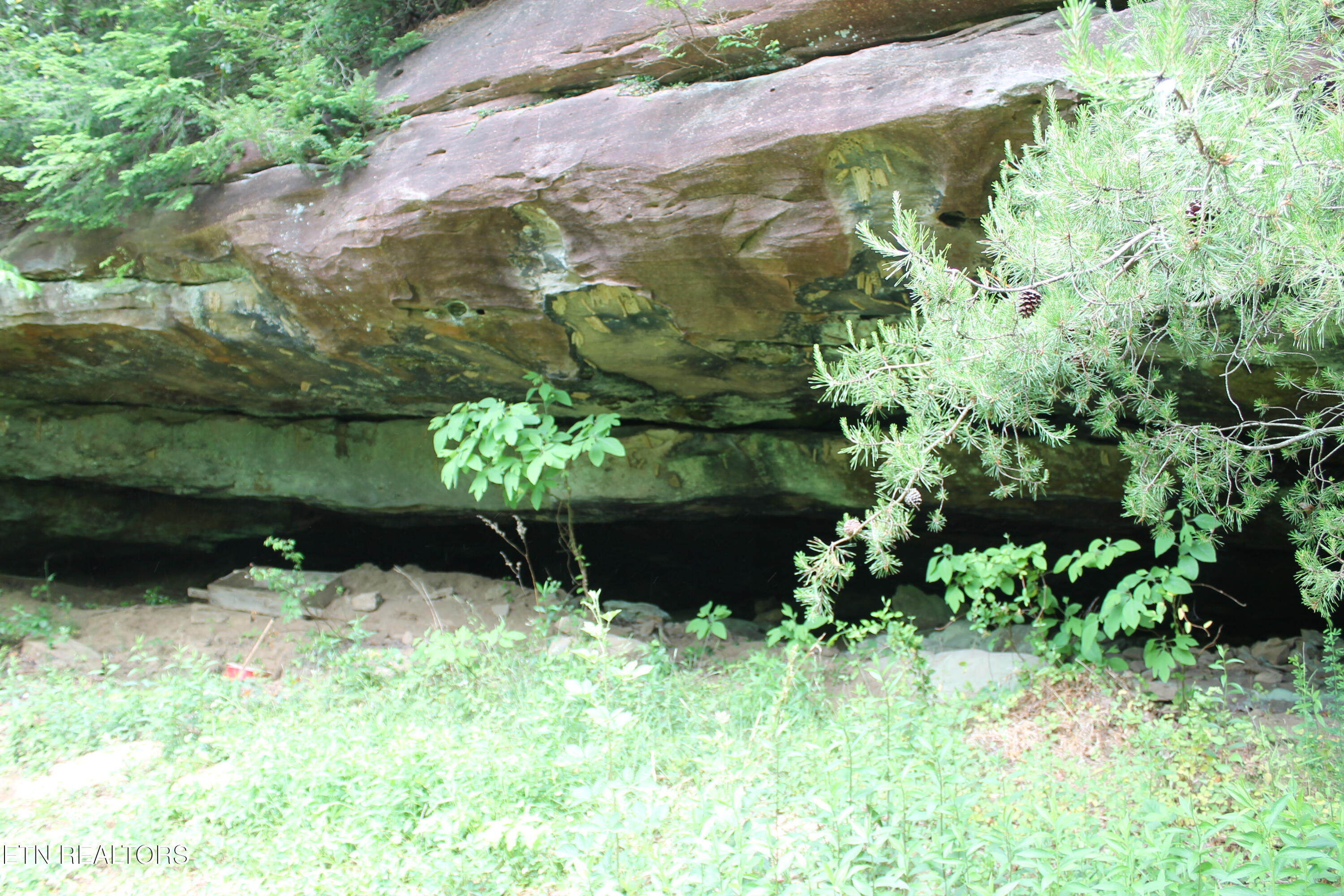 232 Wright Cemetery Road Allardt TN 38504