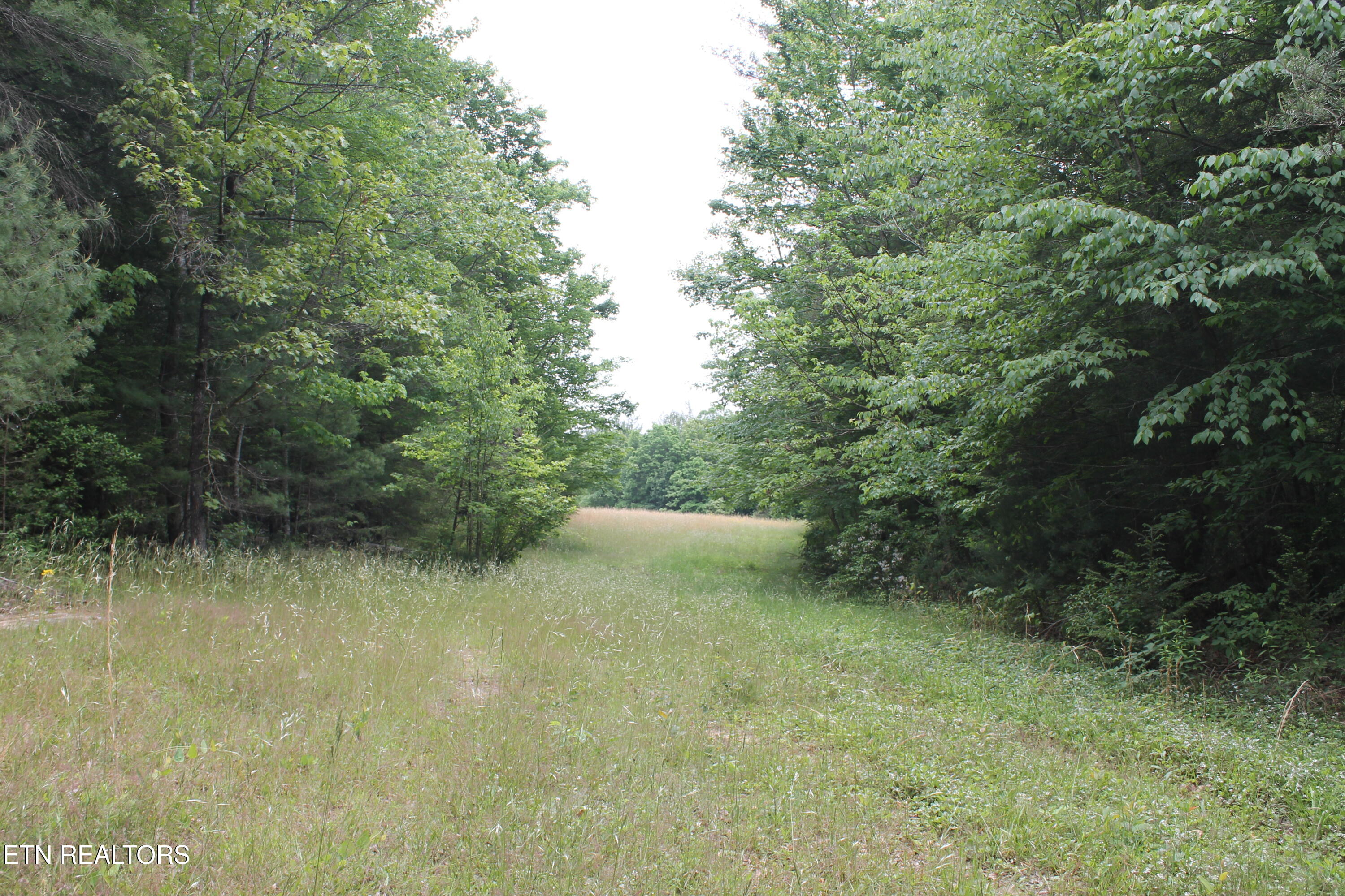 232 Wright Cemetery Road Allardt TN 38504