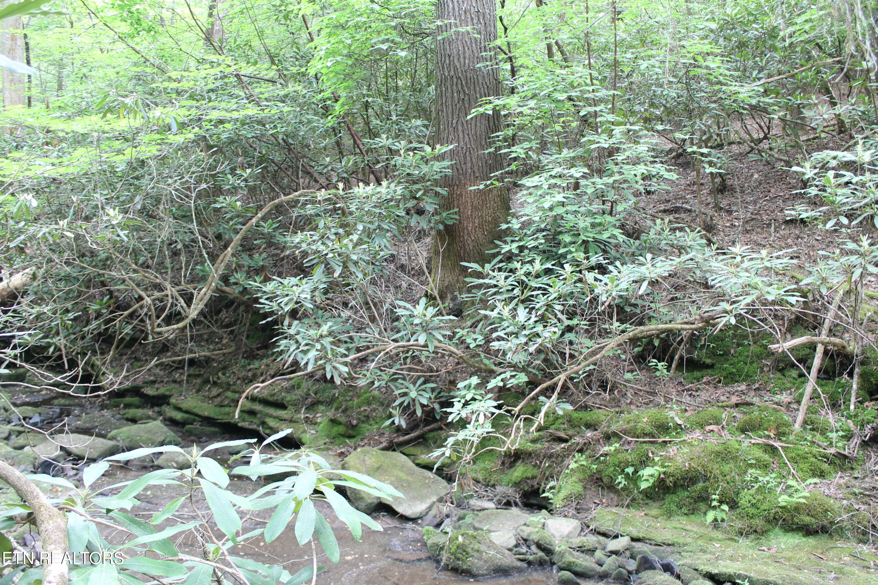 232 Wright Cemetery Road Allardt TN 38504