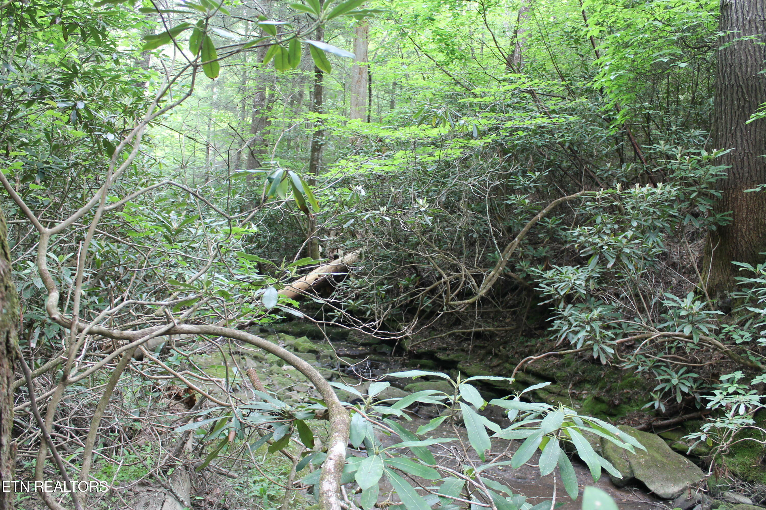 232 Wright Cemetery Road Allardt TN 38504