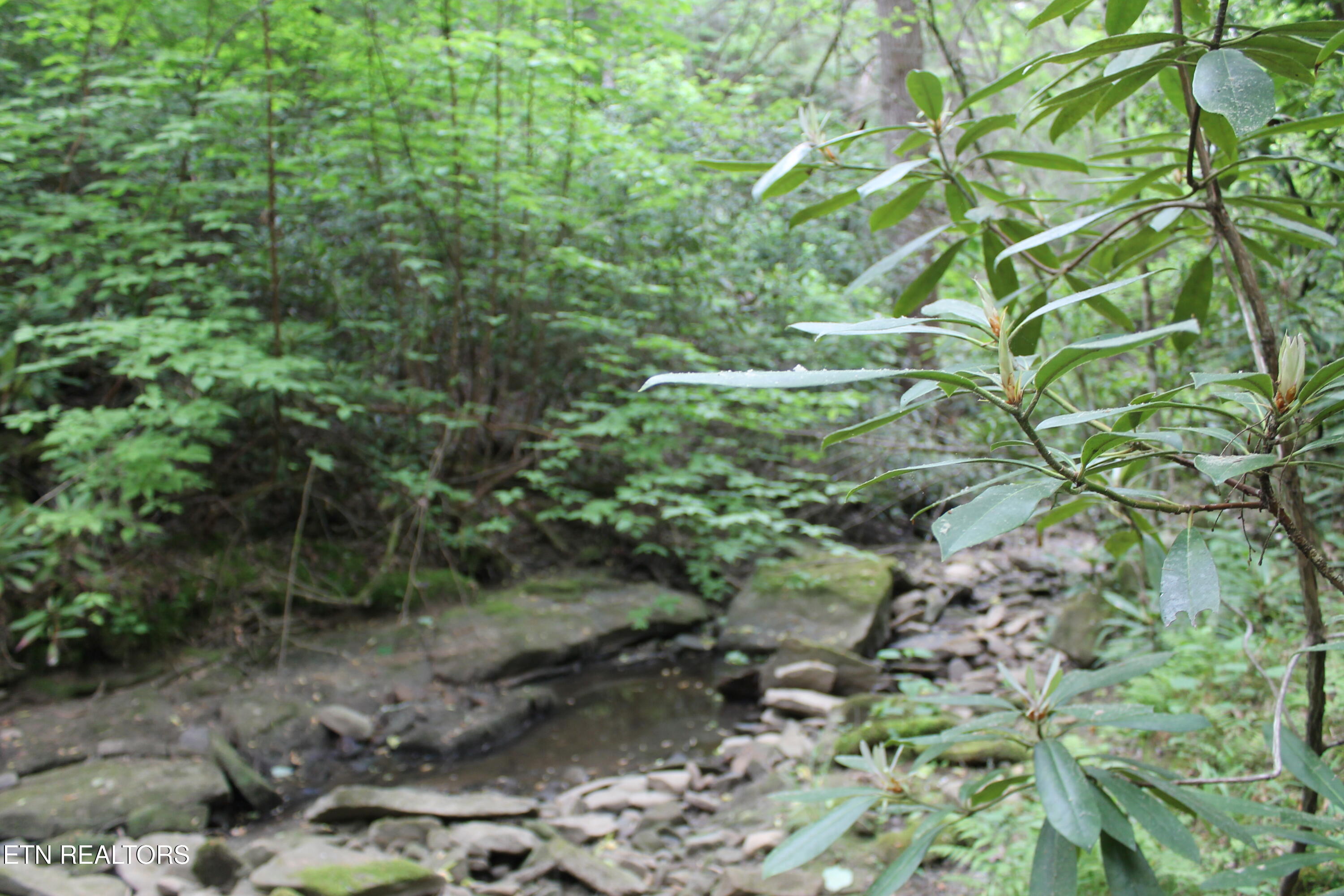 232 Wright Cemetery Road Allardt TN 38504