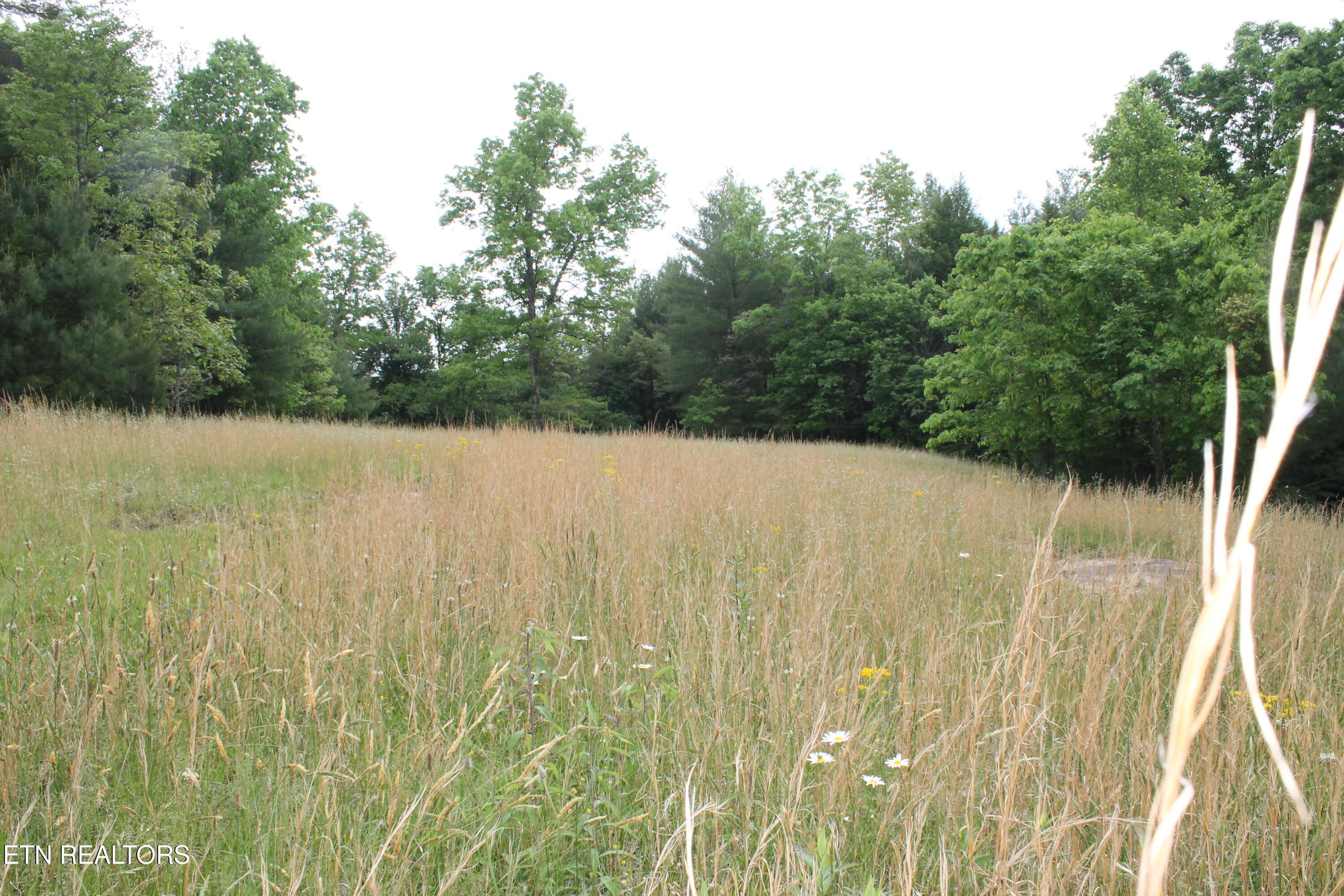 232 Wright Cemetery Road Allardt TN 38504