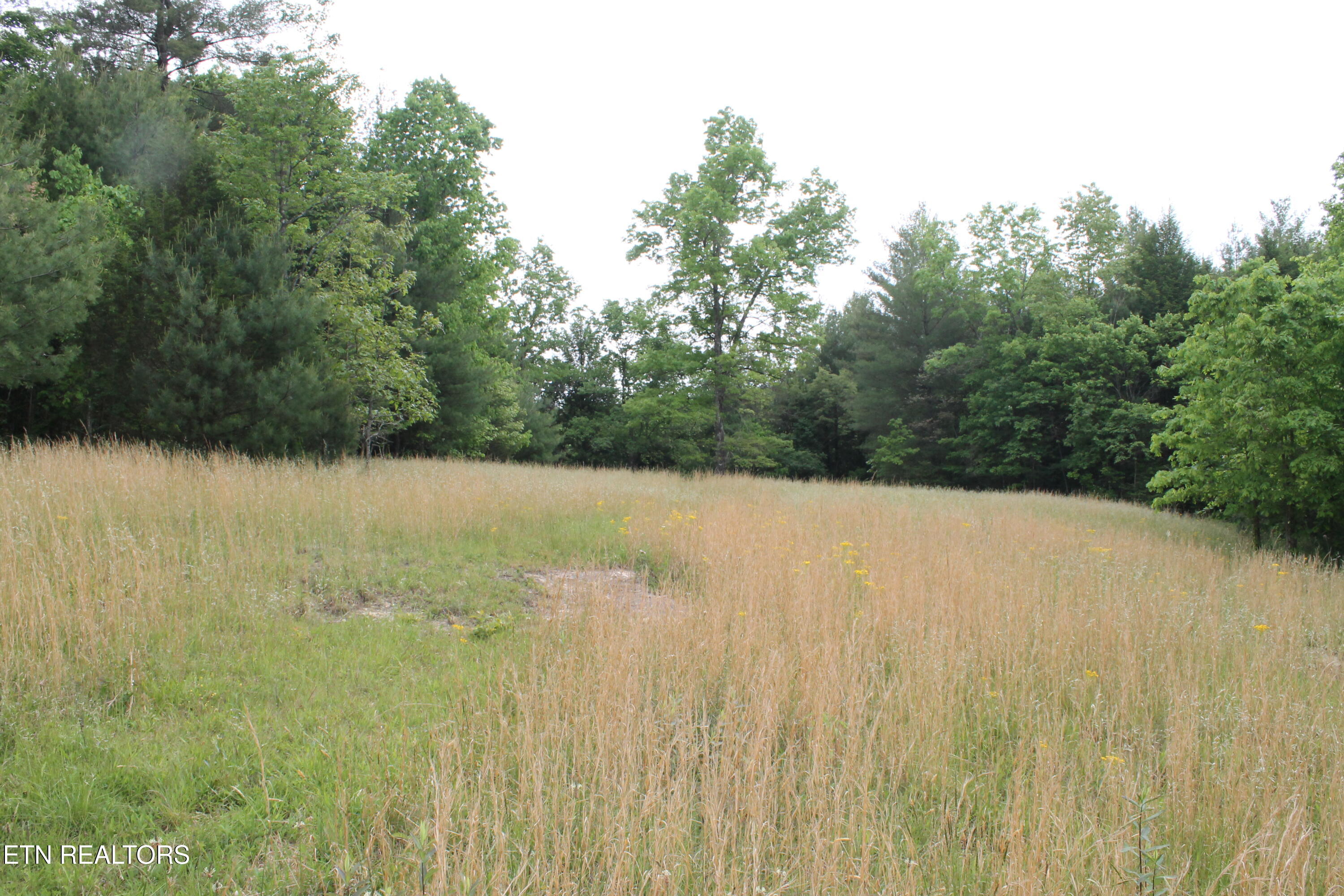 232 Wright Cemetery Road Allardt TN 38504