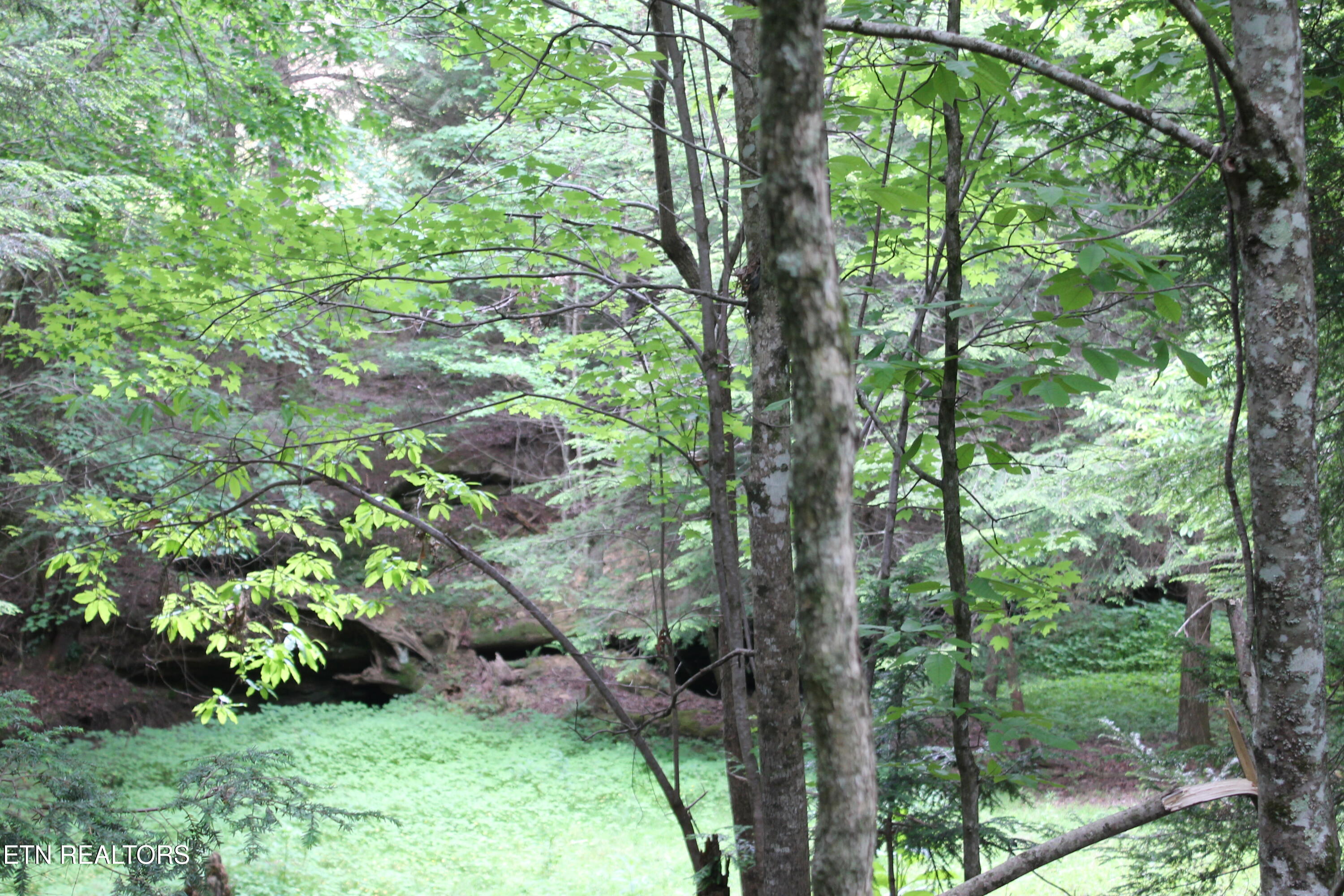 232 Wright Cemetery Road Allardt TN 38504