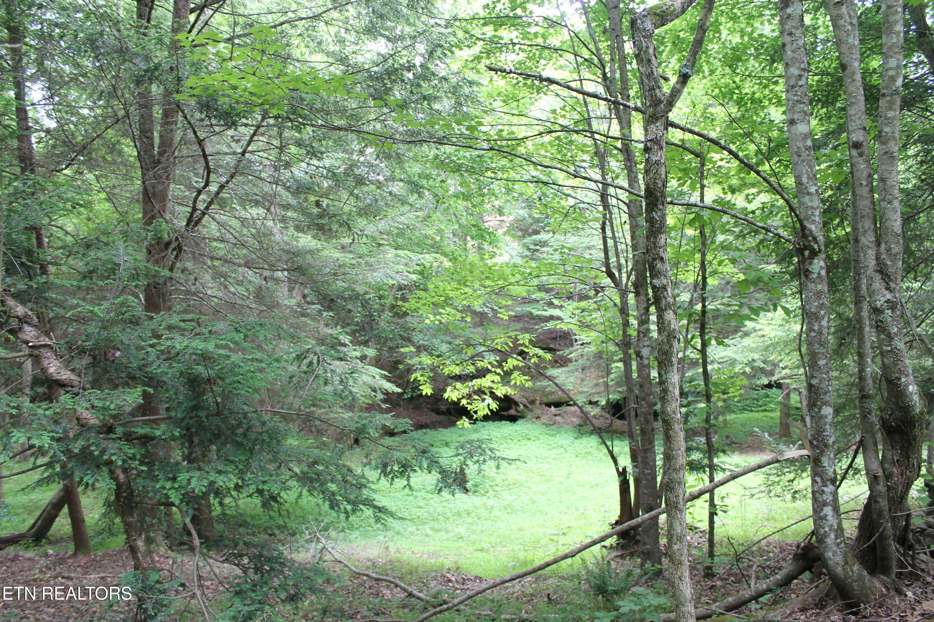 232 Wright Cemetery Road Allardt TN 38504