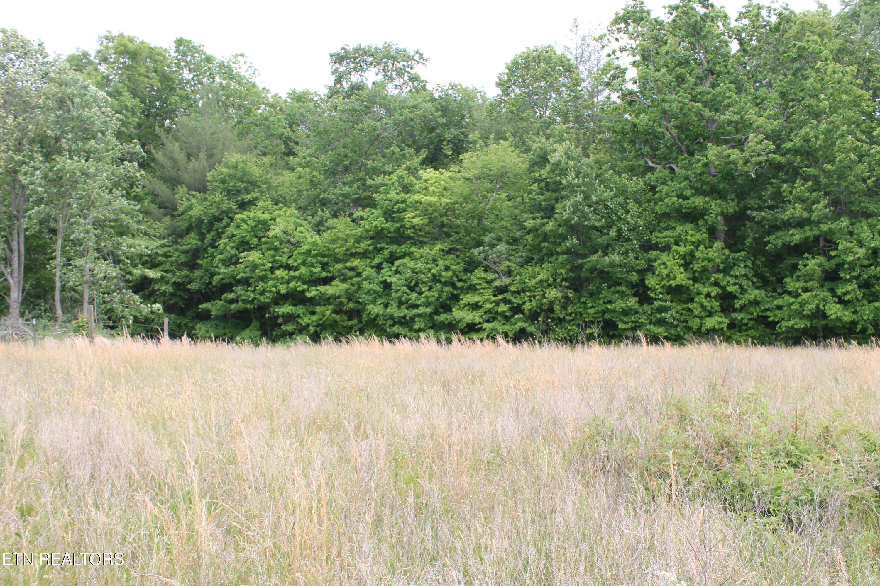 232 Wright Cemetery Road Allardt TN 38504