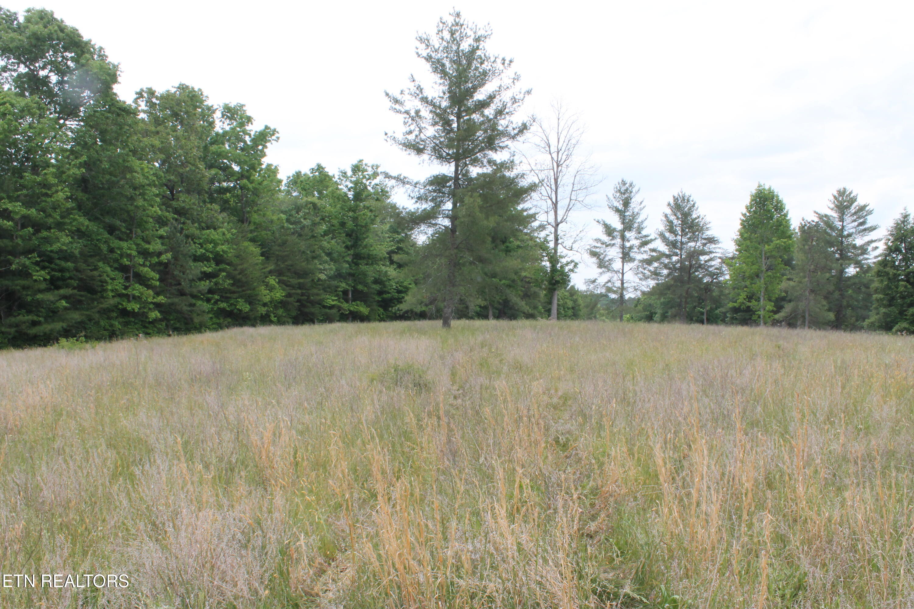 232 Wright Cemetery Road Allardt TN 38504