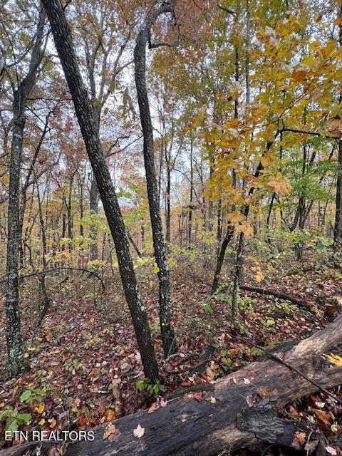 Belmont Drive Monterey TN 38574