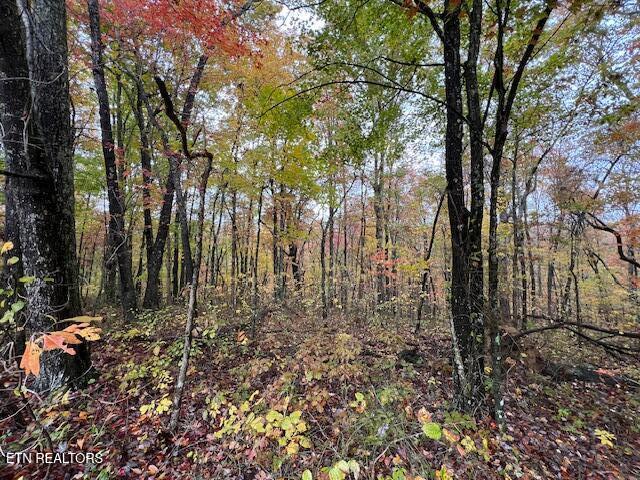 Belmont Drive Monterey TN 38574