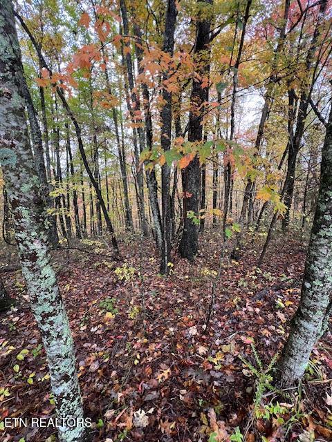 Belmont Drive Monterey TN 38574