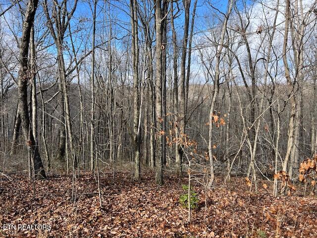 Belmont Drive Monterey TN 38574