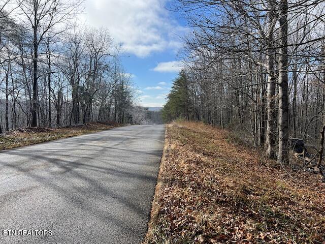 Belmont Drive Monterey TN 38574
