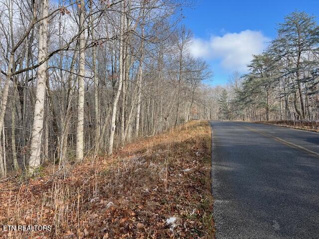 Belmont Drive Monterey TN 38574