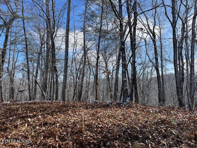 Belmont Drive Monterey TN 38574