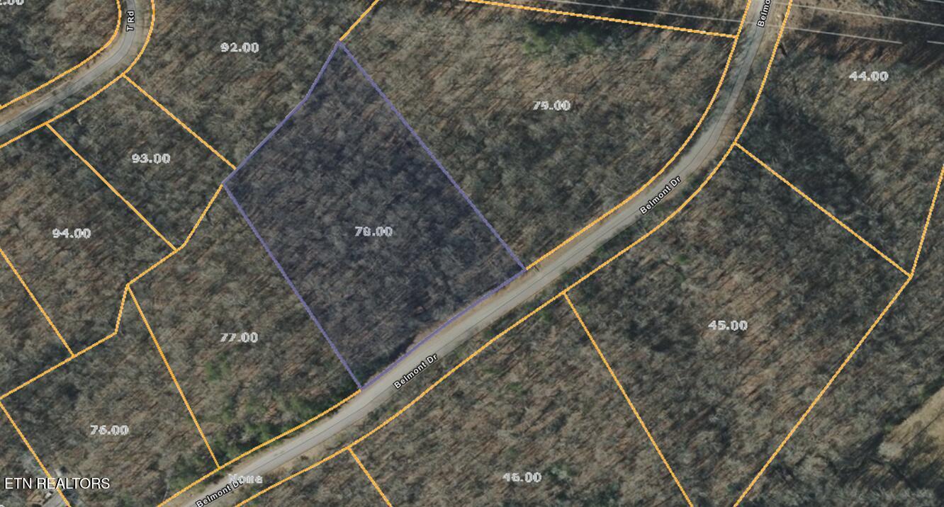 Belmont Drive Monterey TN 38574