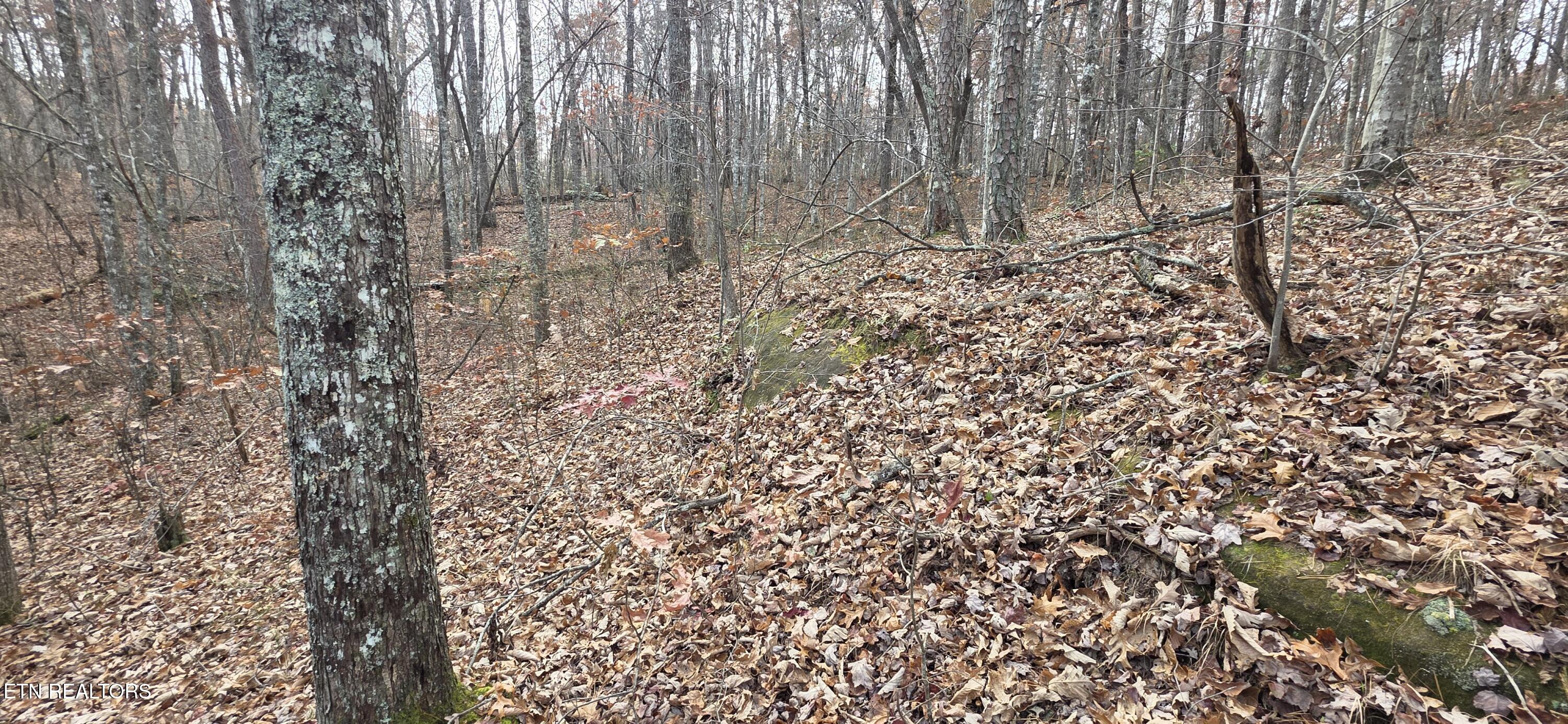 25 Down Place Monterey TN 38574