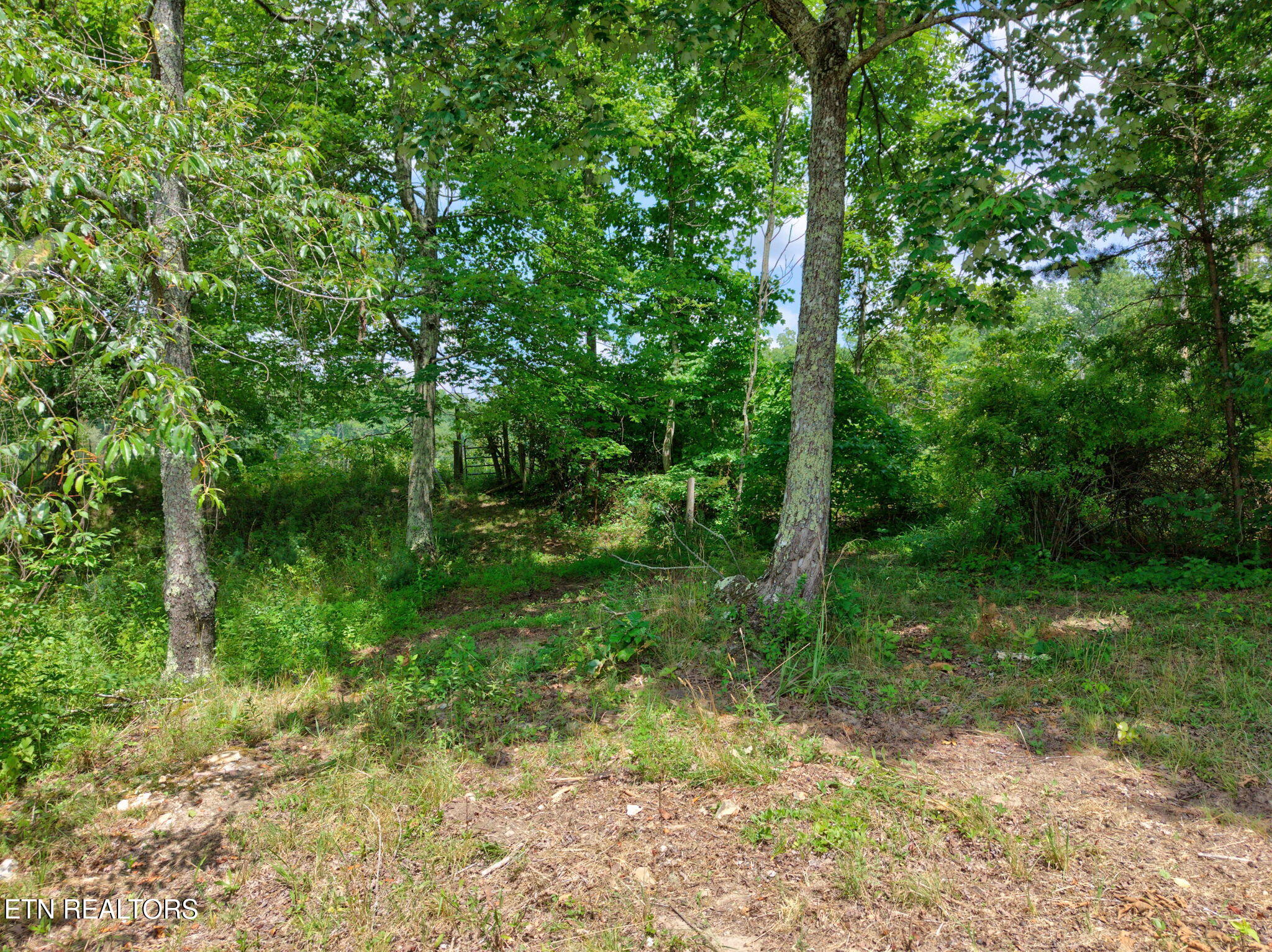 36AC Kentucky Drive Crossville TN 38572