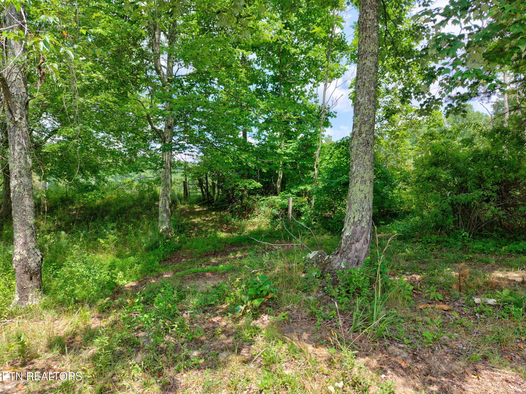 36AC Kentucky Drive Crossville TN 38572
