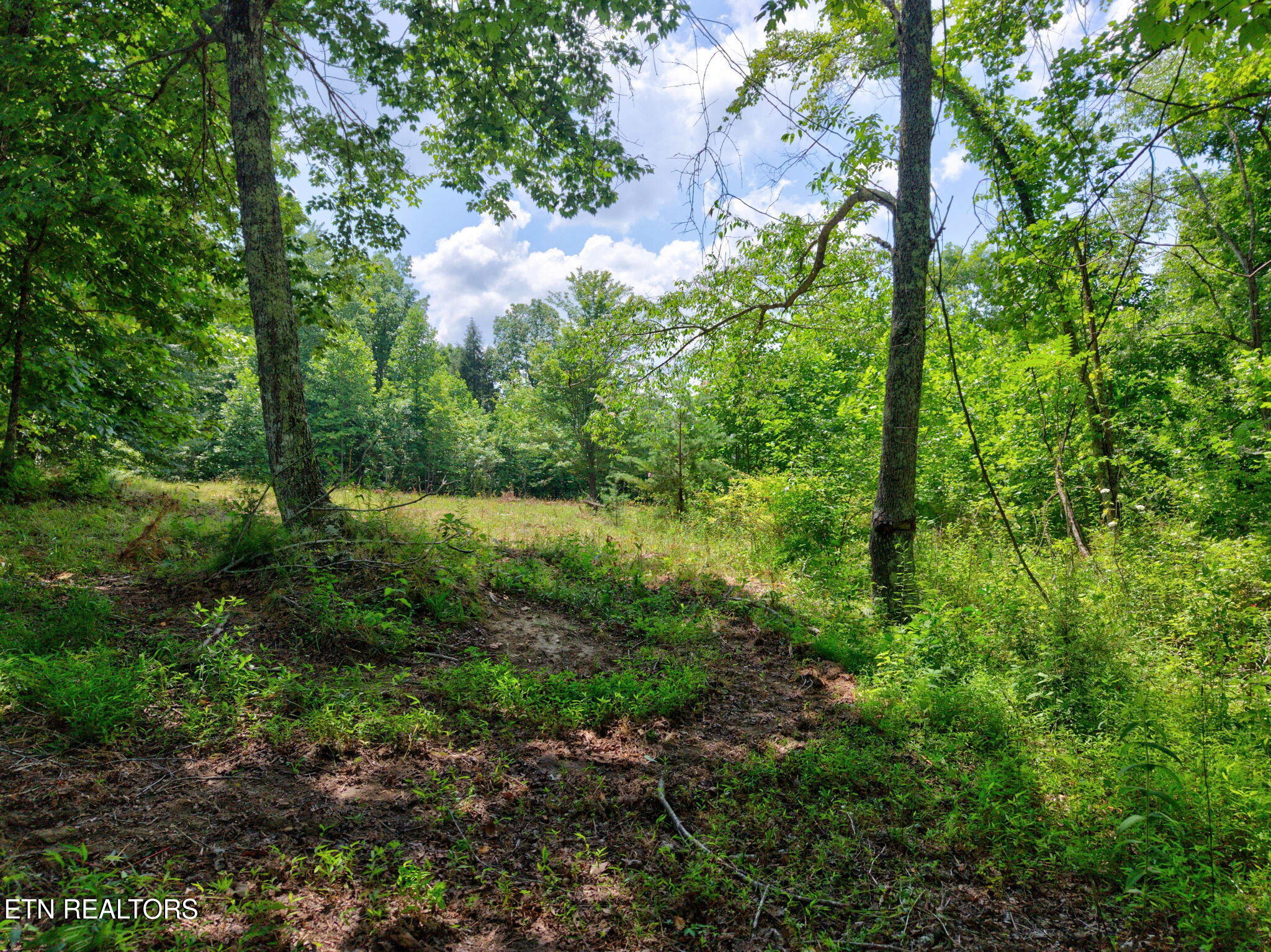 36AC Kentucky Drive Crossville TN 38572
