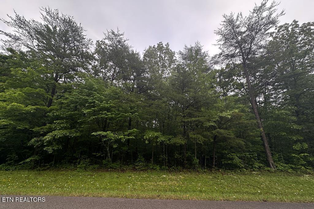 0 Cumberland Lakes Drive Monterey TN 38574