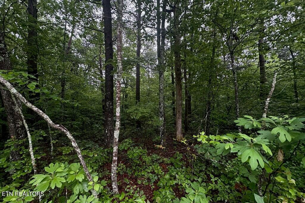 0 Cumberland Lakes Drive Monterey TN 38574