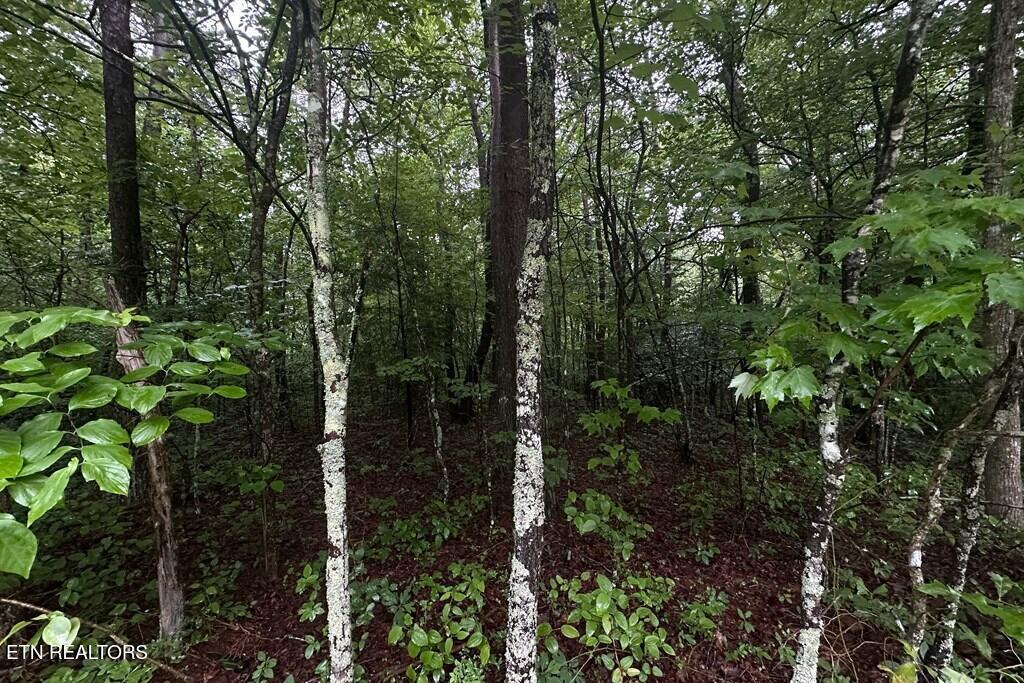 0 Cumberland Lakes Drive Monterey TN 38574