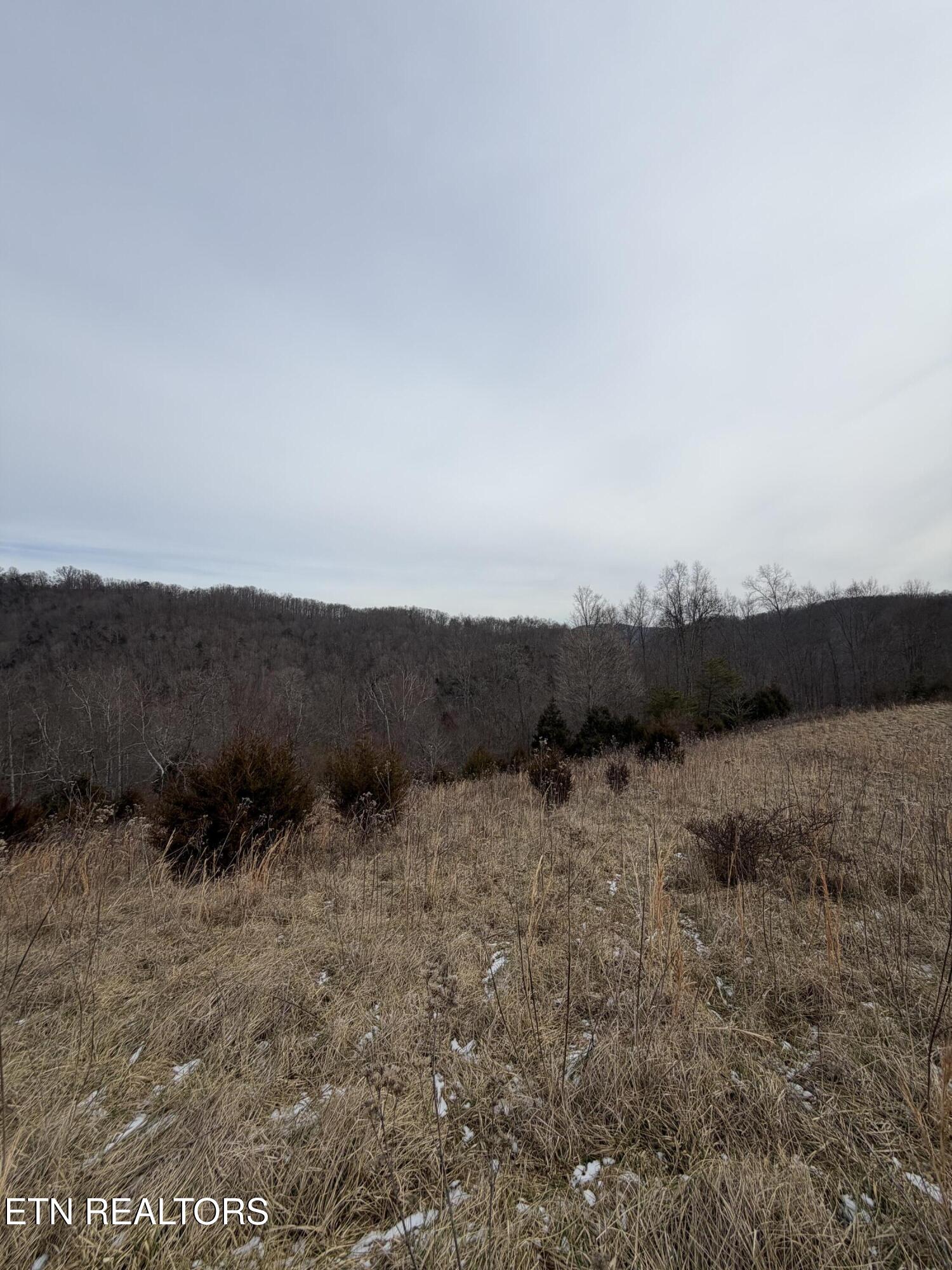 Tbd Russell Ridge Road Speedwell TN 37870