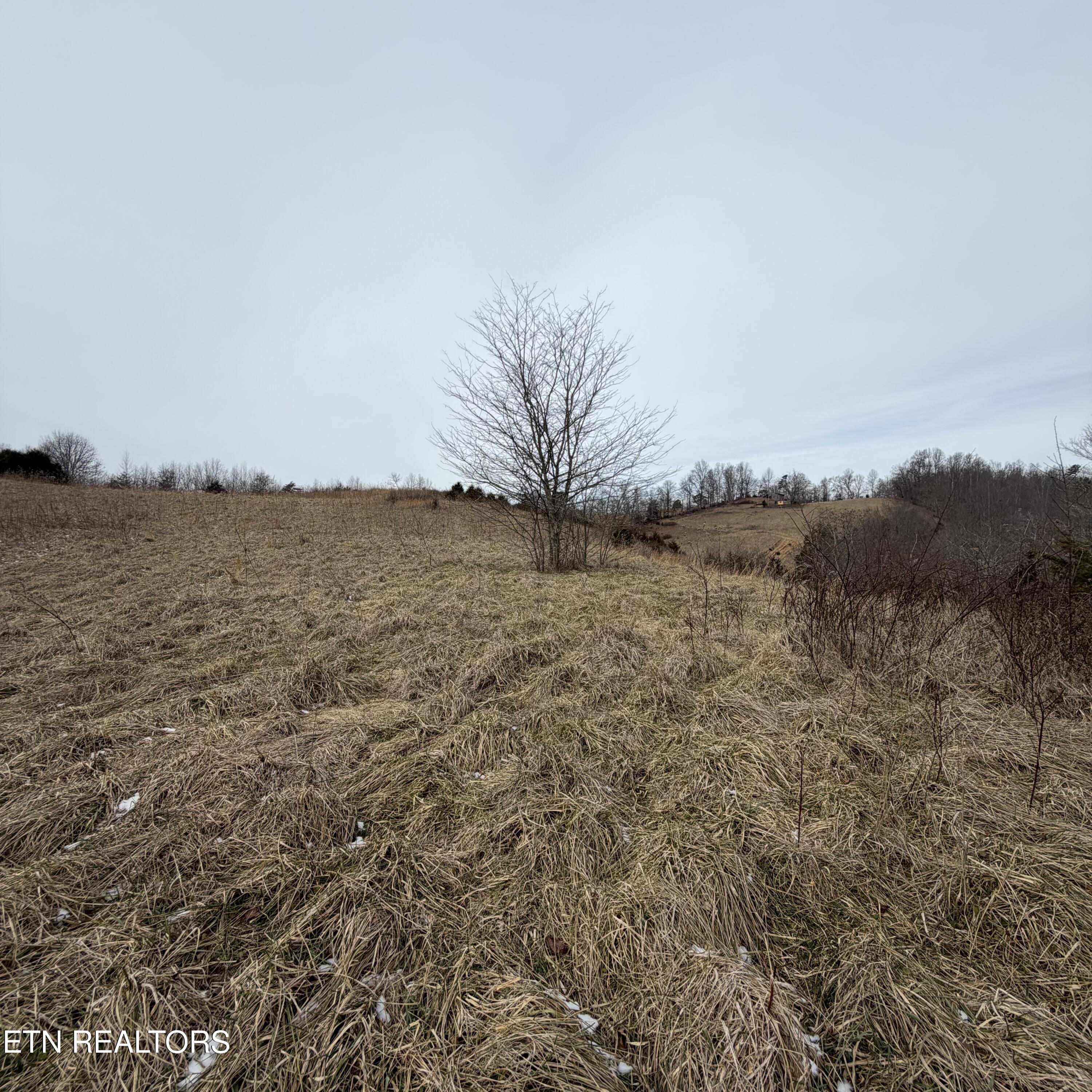 Tbd Russell Ridge Road Speedwell TN 37870