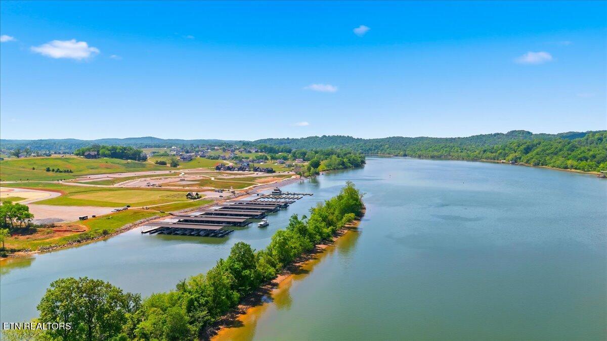 145 Purple Iris Place Loudon TN 37774