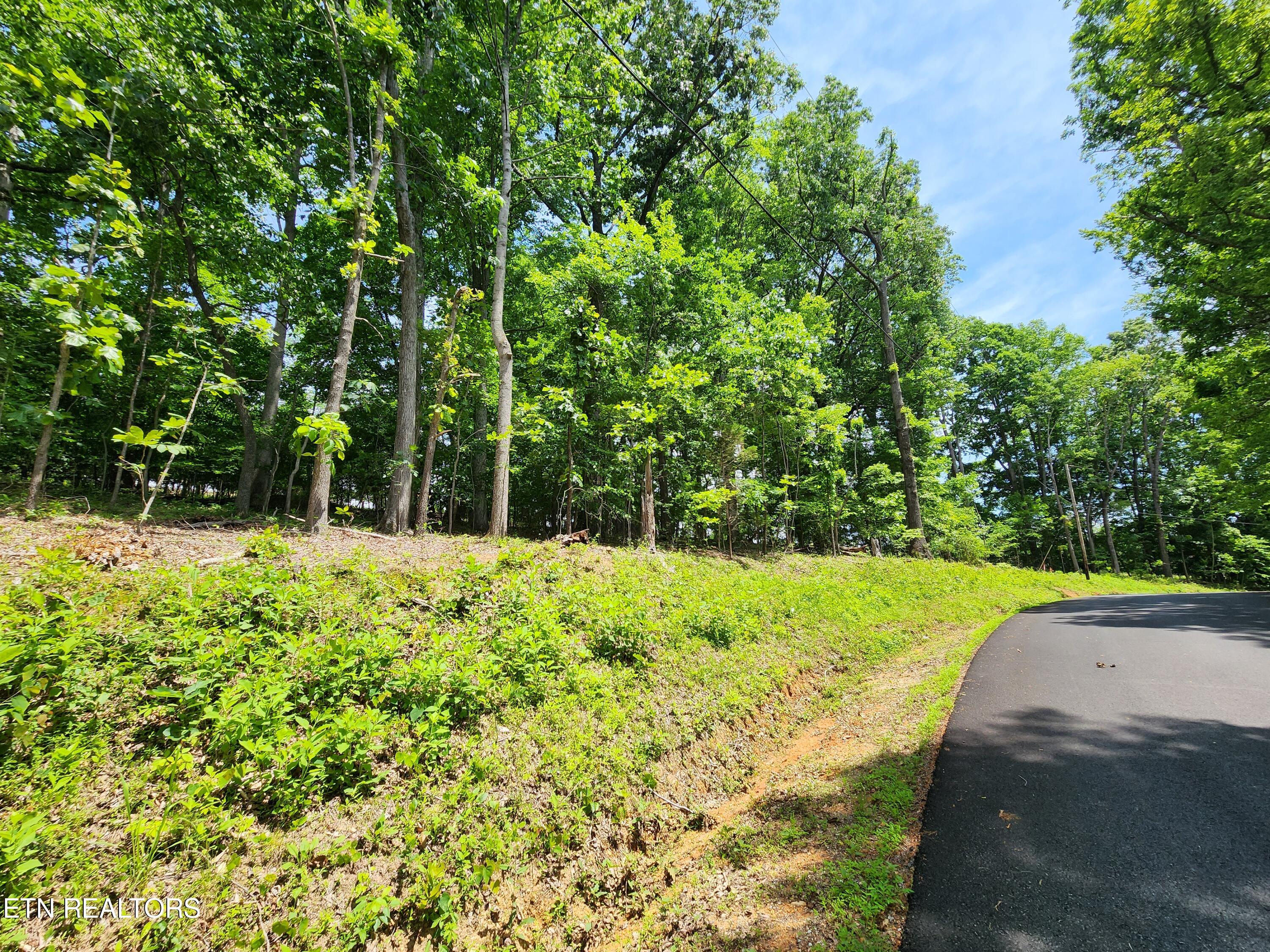 Hiwassee Drive Jacksboro TN 37757