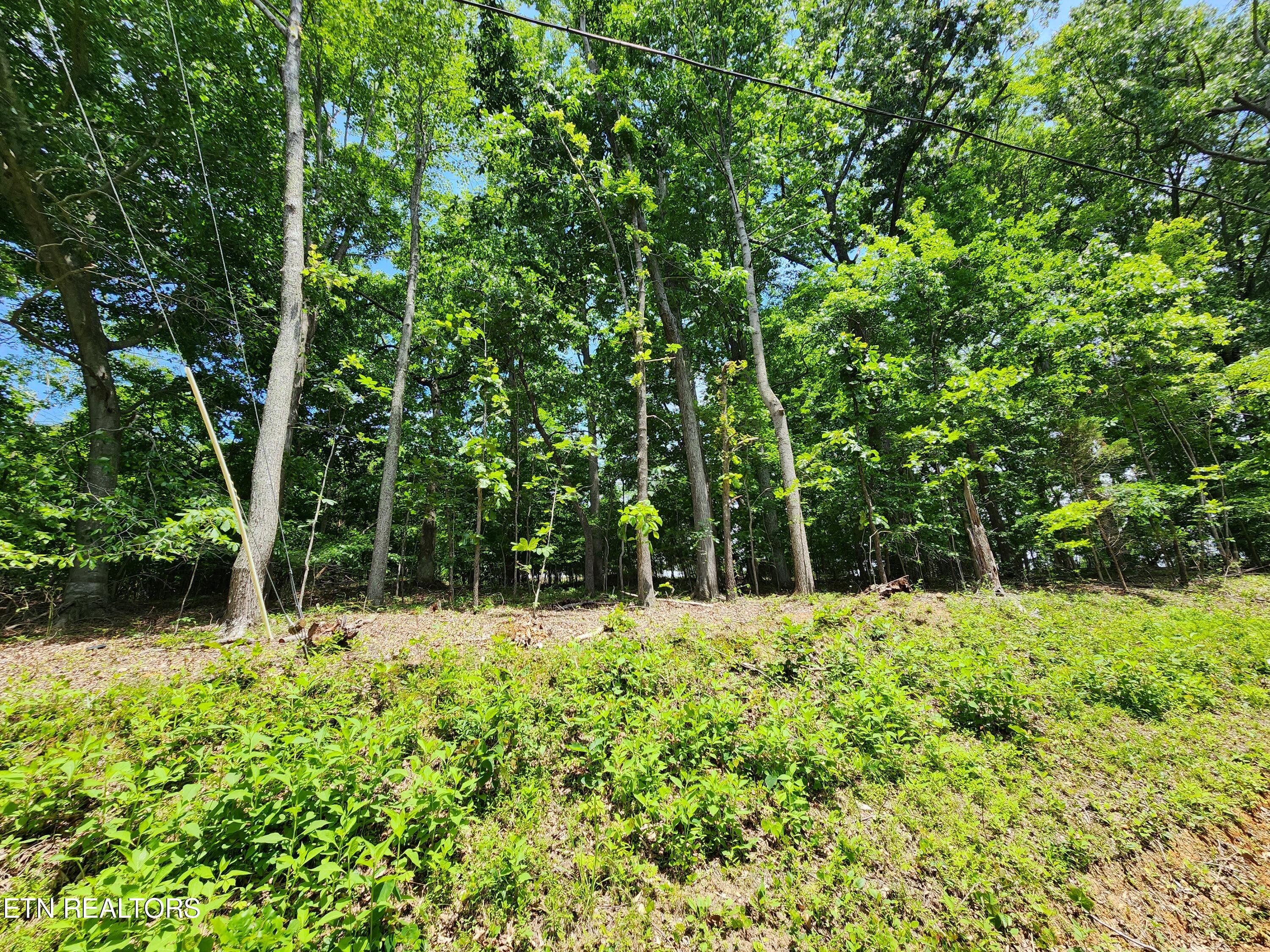 Hiwassee Drive Jacksboro TN 37757