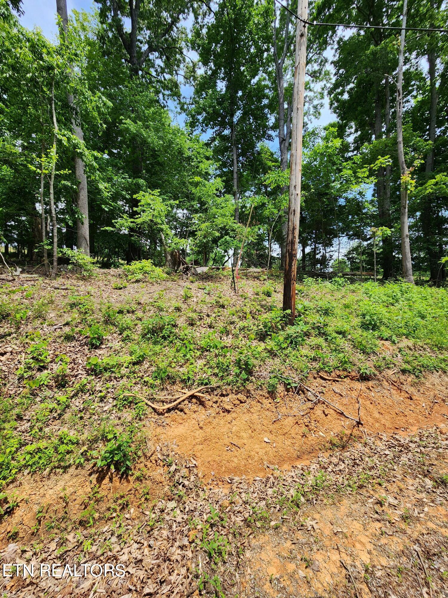 Hiwassee Drive Jacksboro TN 37757