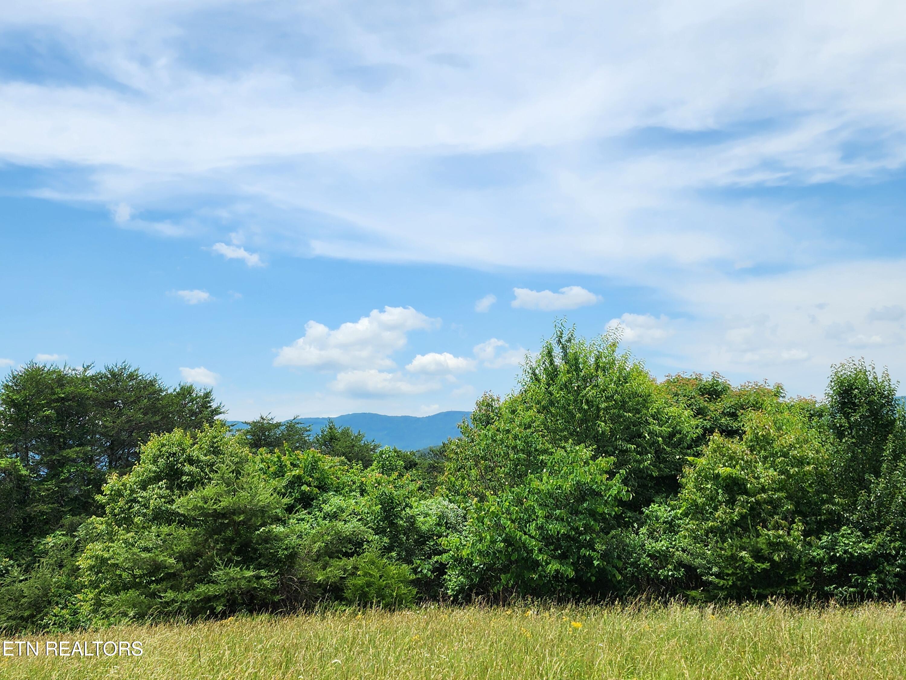 Hiwassee Drive Jacksboro TN 37757