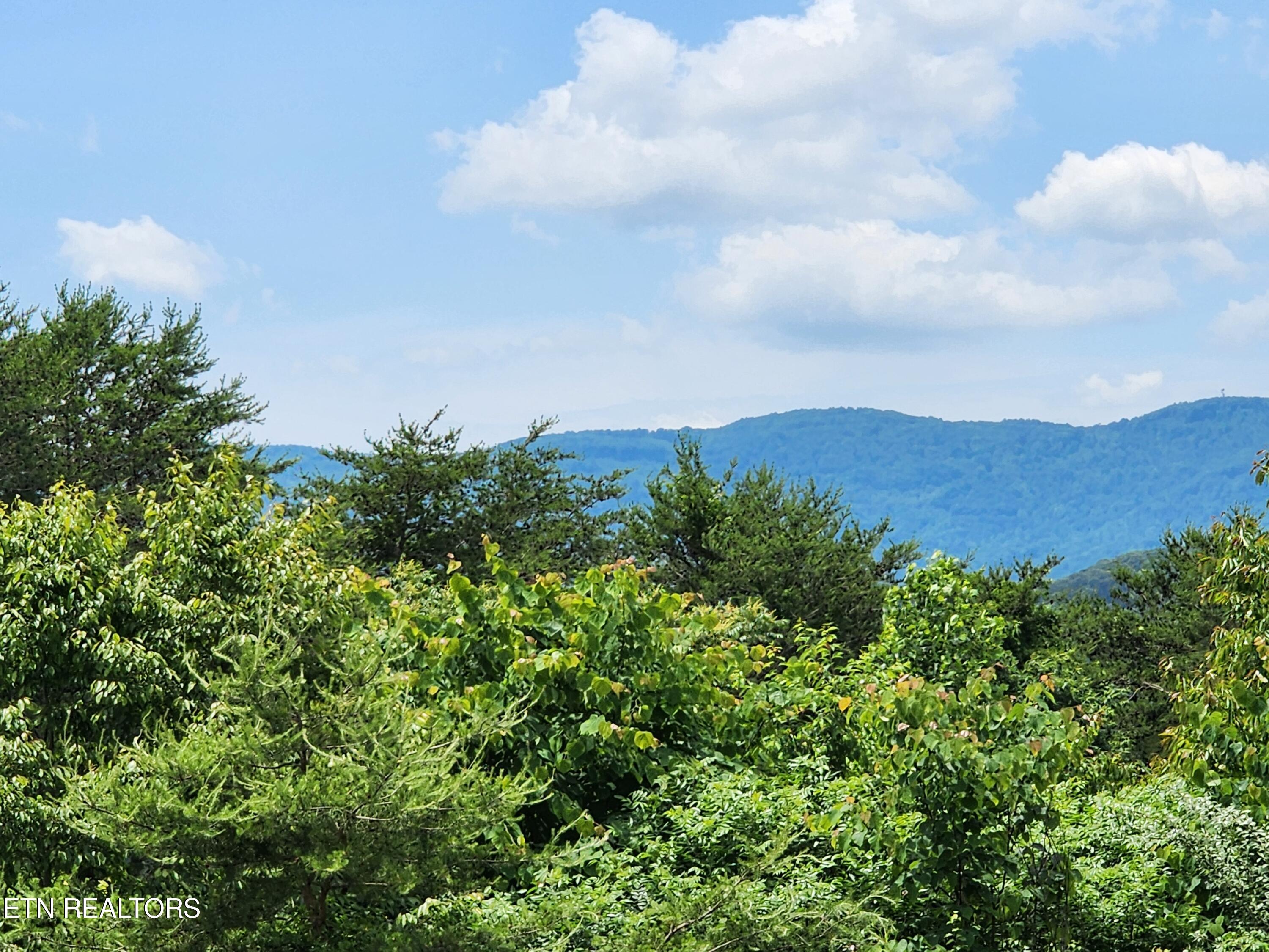 Hiwassee Drive Jacksboro TN 37757
