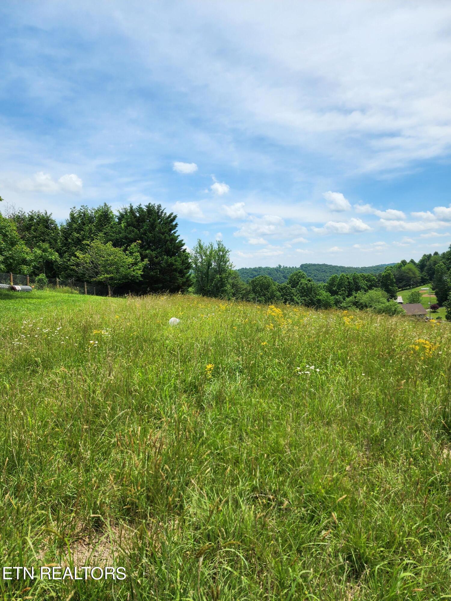 Hiwassee Drive Jacksboro TN 37757