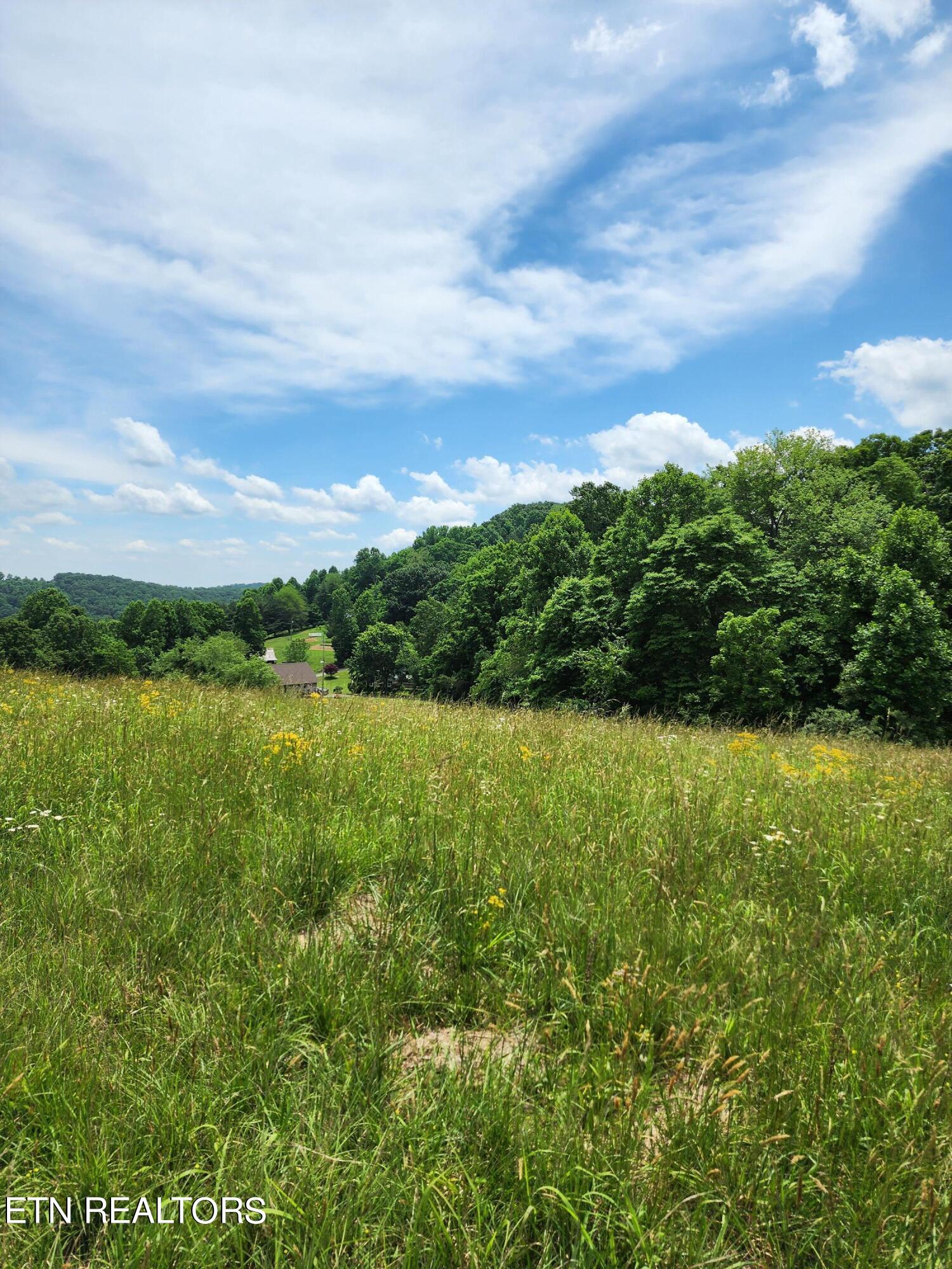 Hiwassee Drive Jacksboro TN 37757